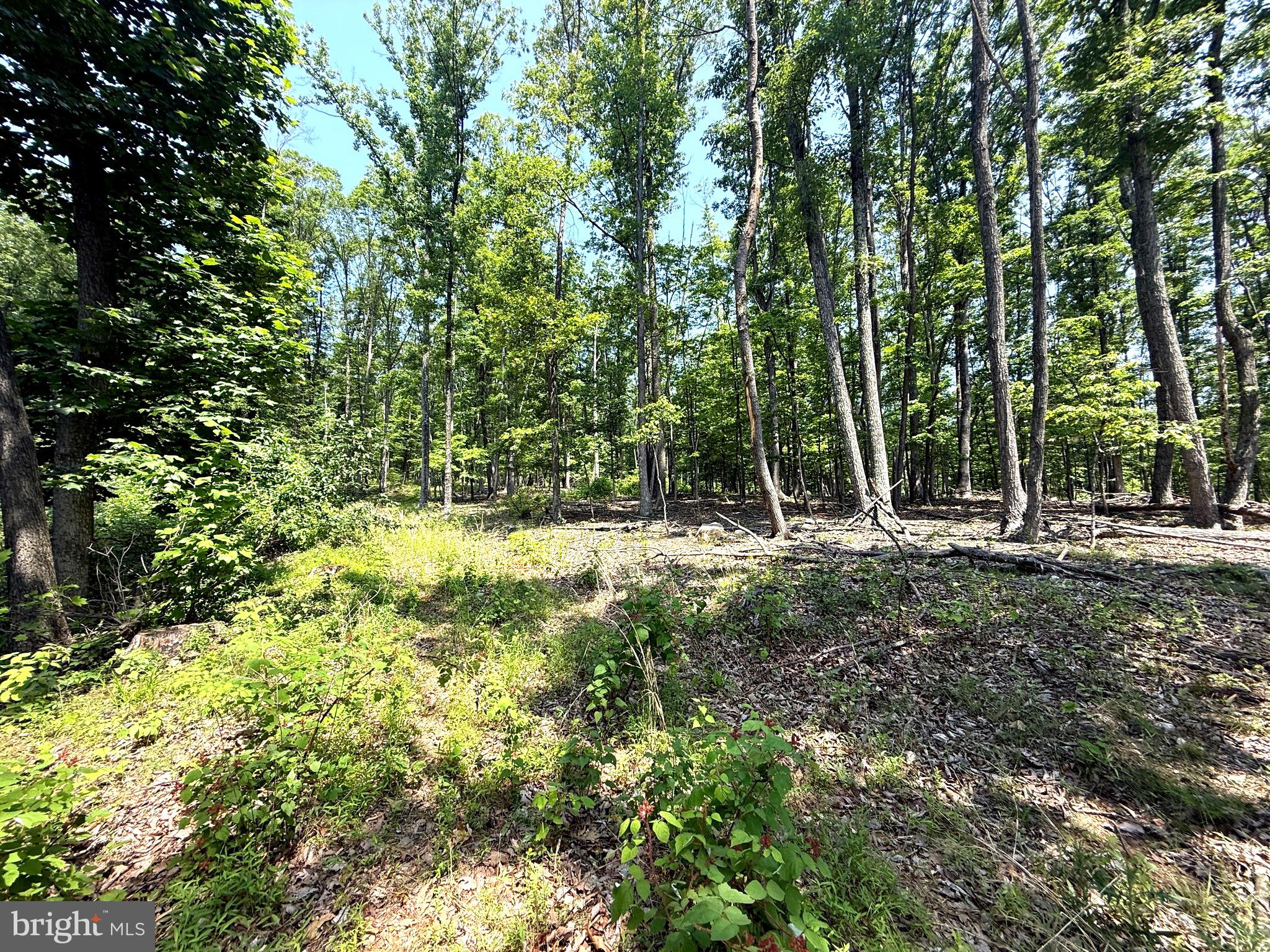 NONE AVAILABLE - Land