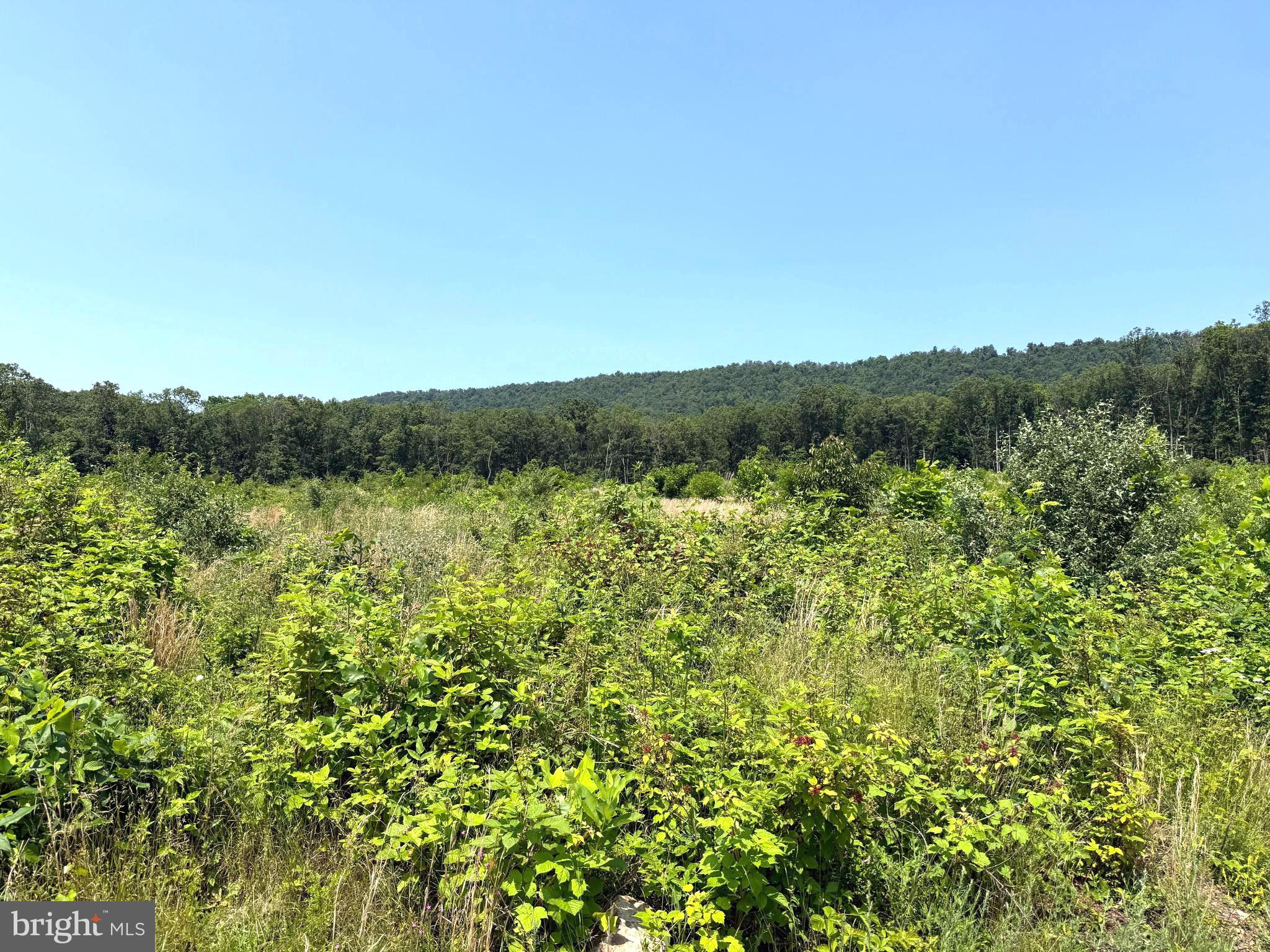 NONE AVAILABLE - Land