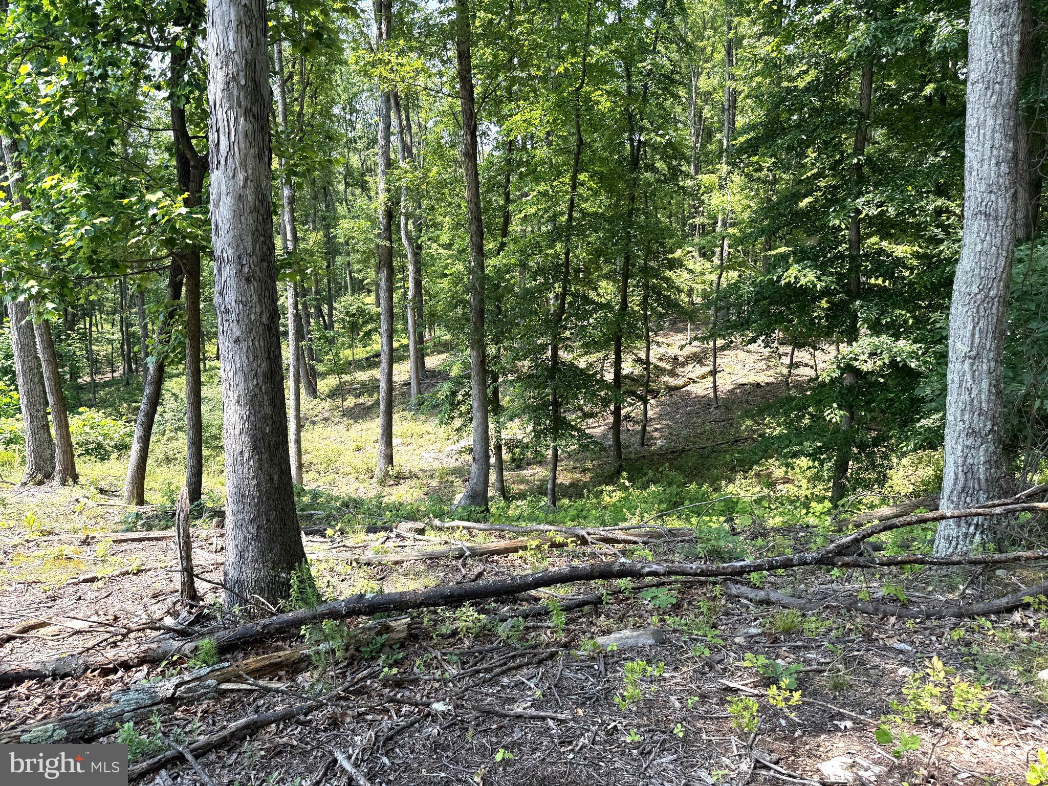 NONE AVAILABLE - Land