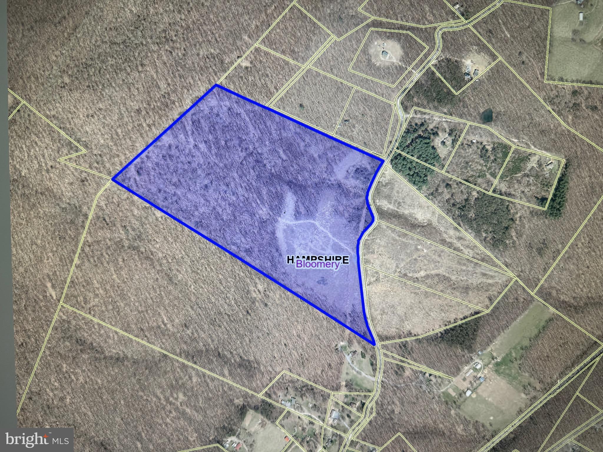 CRITTON OWL HOLLOW ROAD