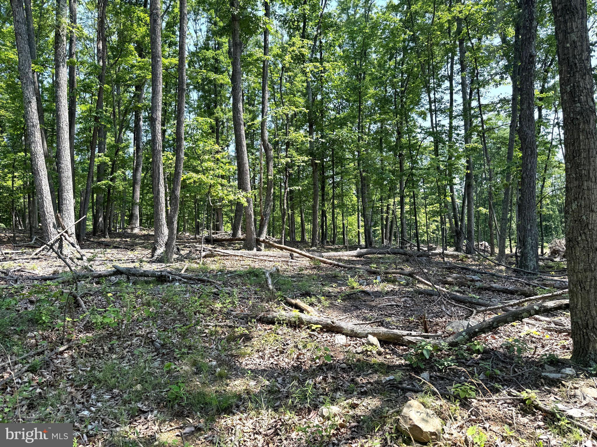 NONE AVAILABLE - Land