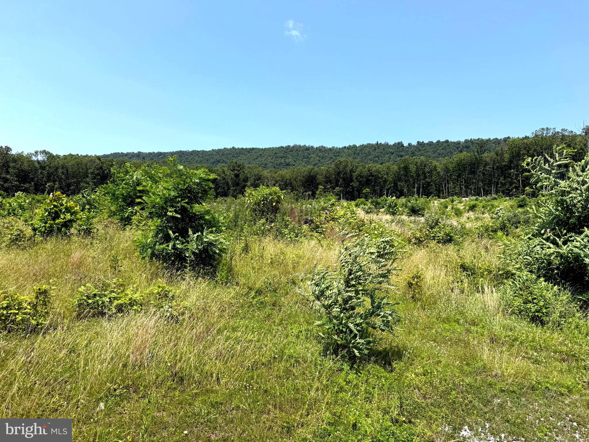 NONE AVAILABLE - Land