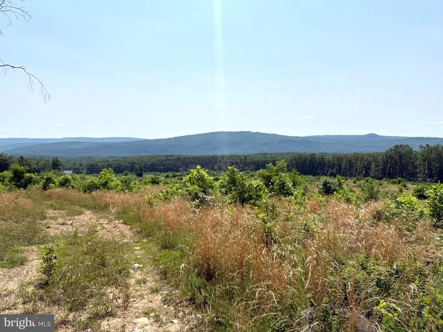 71.32ac UNRESTRICTED! ** NO HOA! **Subdivision may be possible! ** The lot  has access to electric! ** Come and see where the mountains meet the sky! Partially cleared land,  wooded and  gently sloped foothills ...the perfect place to live your American dream! Around 15 acres are already cleared and ready for your mountaineer homestead. Hunt or farm on your own land! There is a picture perfect site for you to build atop a knoll overlooking a gorgeous vista. Plenty of road frontage. Surround yourself with natural postcard scenery. They aren't making anymore land! Stake your claim today!  Located just minutes from the Slanesville General Store and our national natural landmark,  Ice Mountain Preserve!