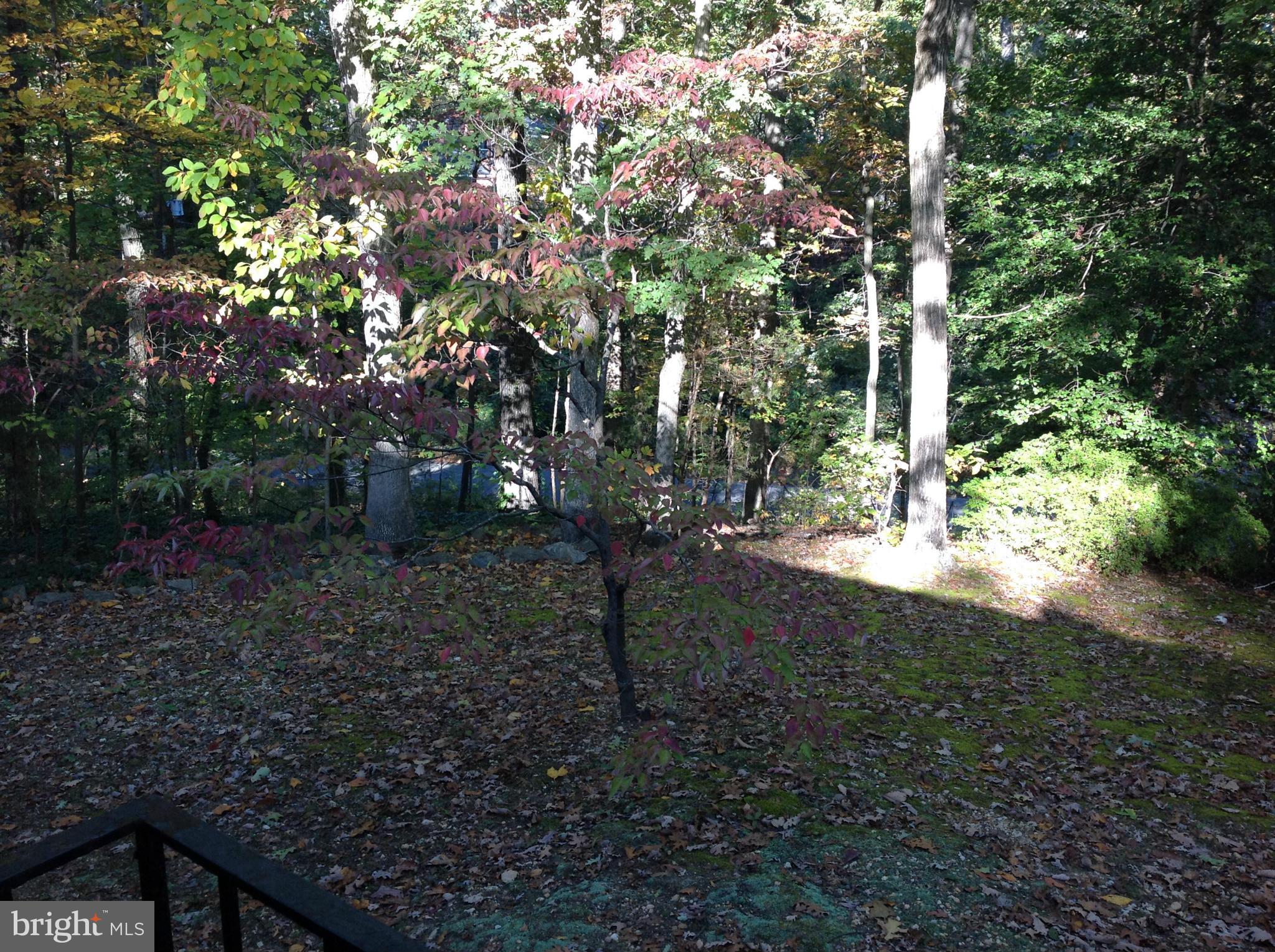 FERRY FARMS - Residential