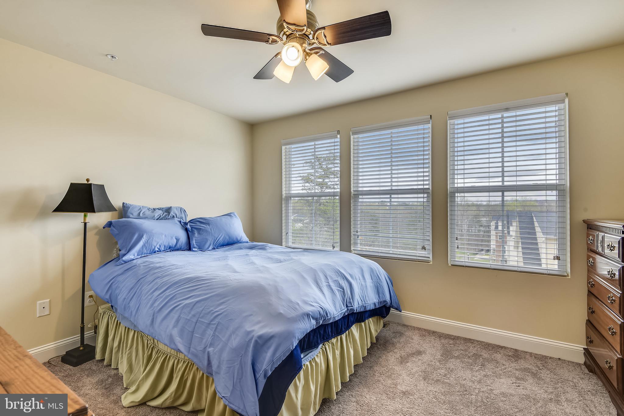 OXFORD SQUARE - Residential