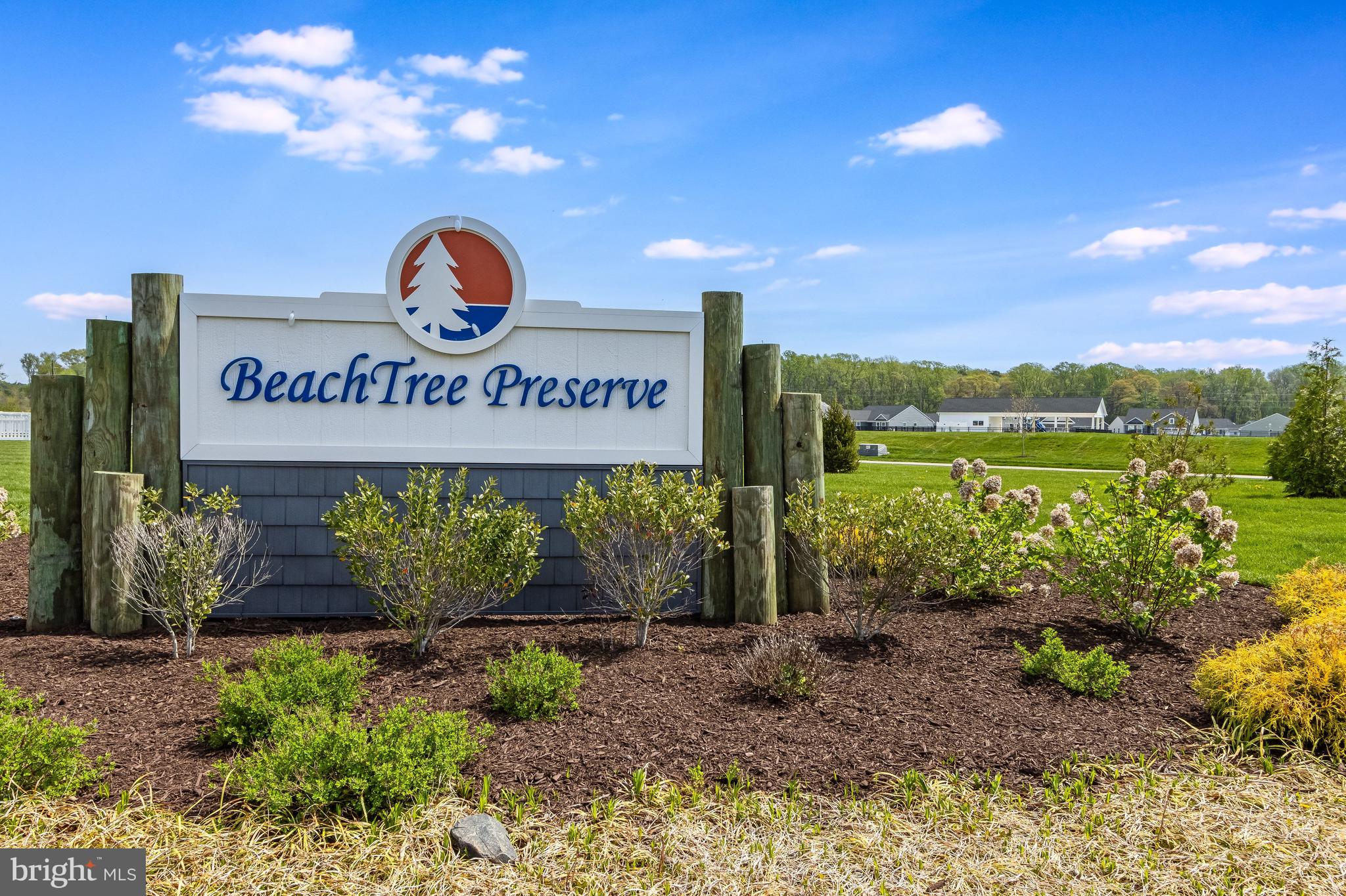 BEACHTREE PRESERVE - Residential