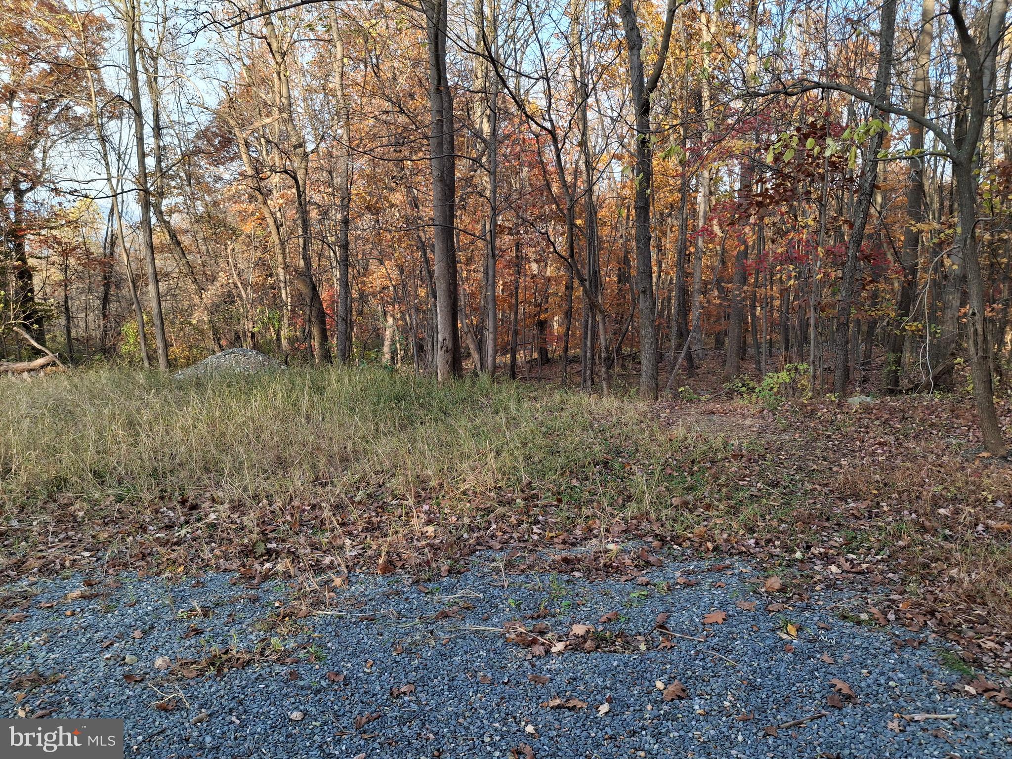 HAMILTONBAN-CHARNITA - Land