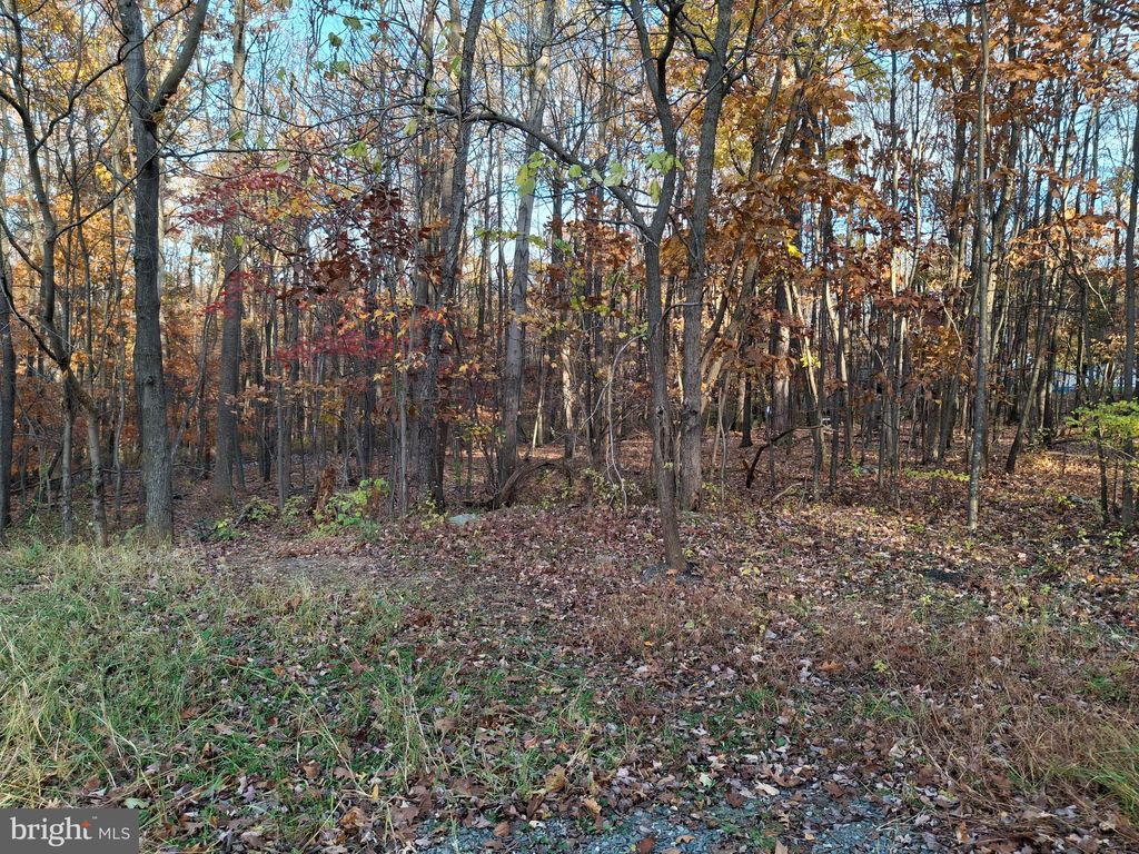 Photo of 80 Lightning Trail, FAIRFIELD, PA 17320 (MLS # PAAD2020522)