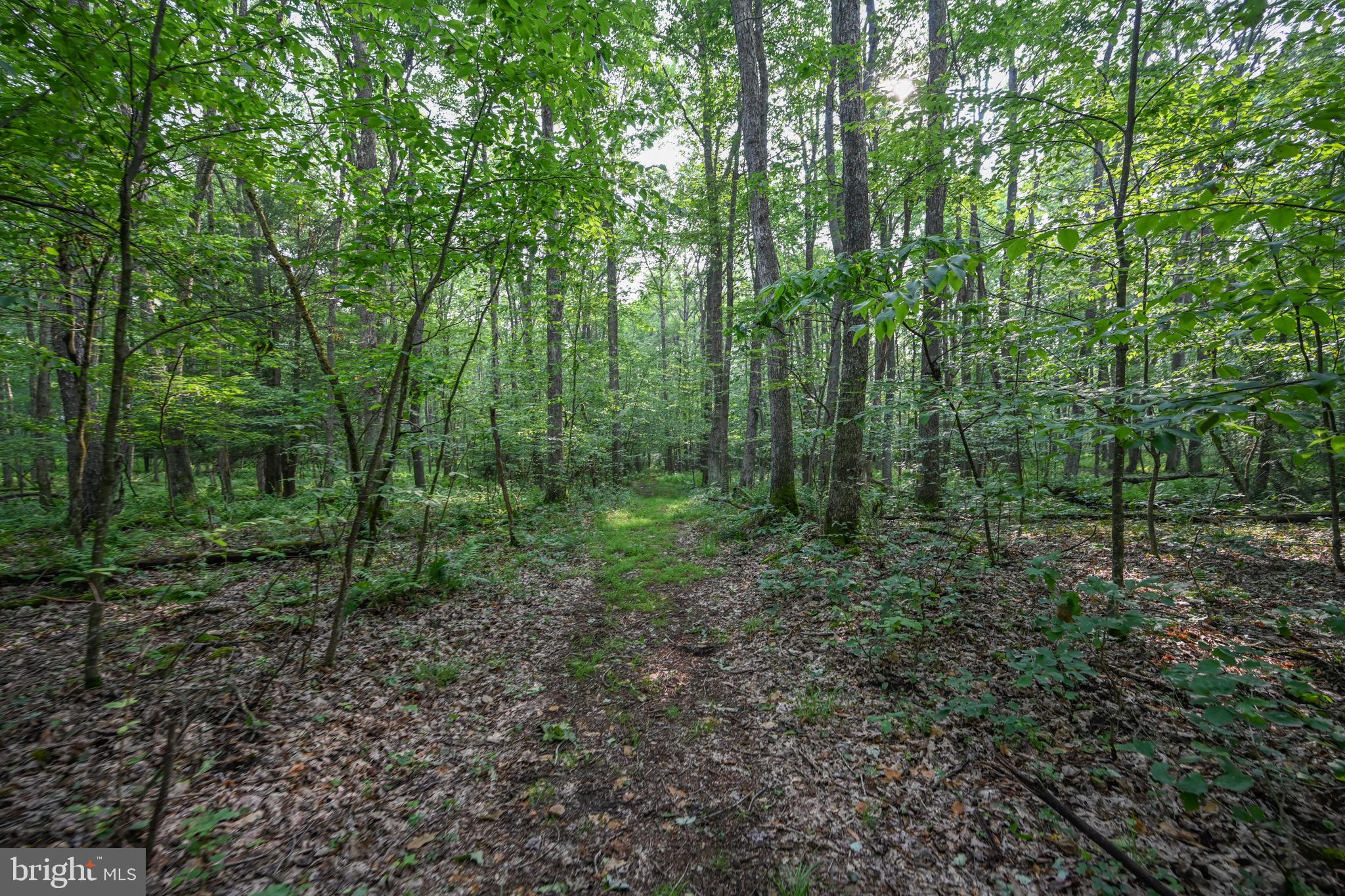 YOUGH RIVER ESTATES - Residential