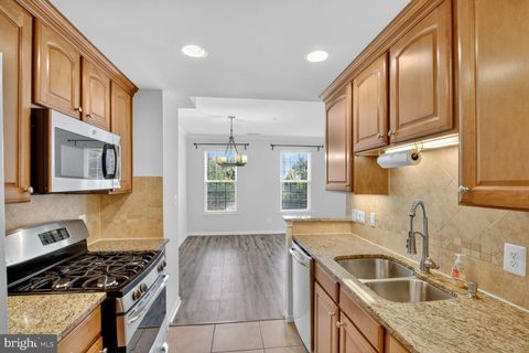 13412 BLUEBEARD TERRACE 3276 CLARKSBURG MD 20871