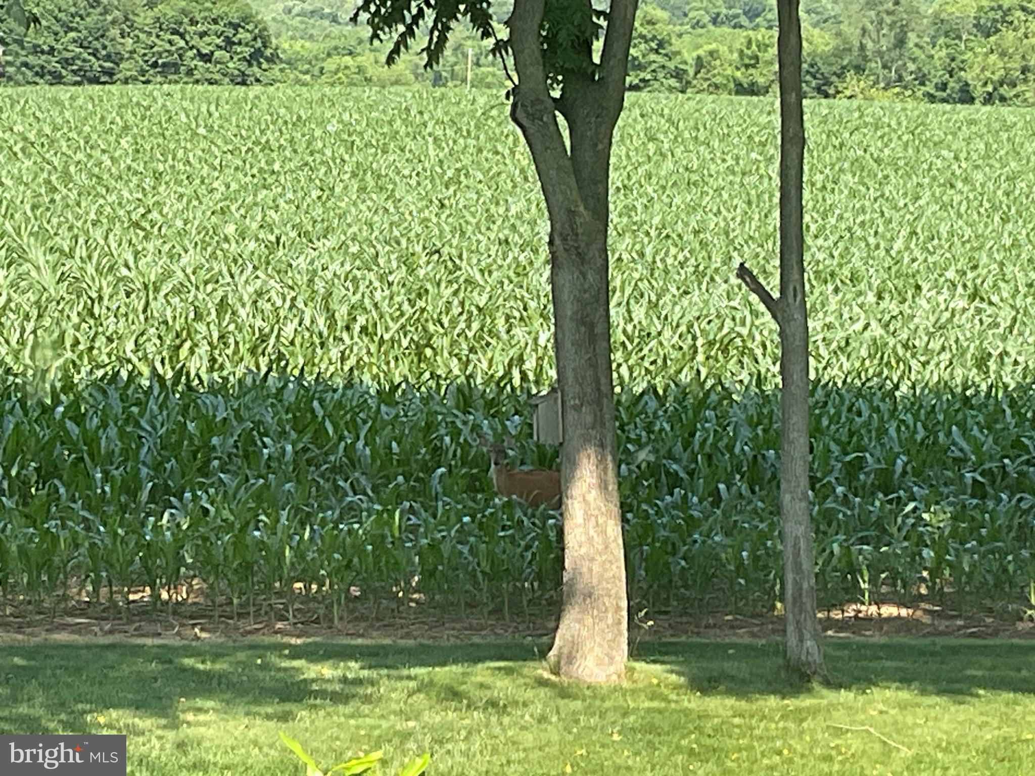 ESTS AT LONDON BROOK - Residential