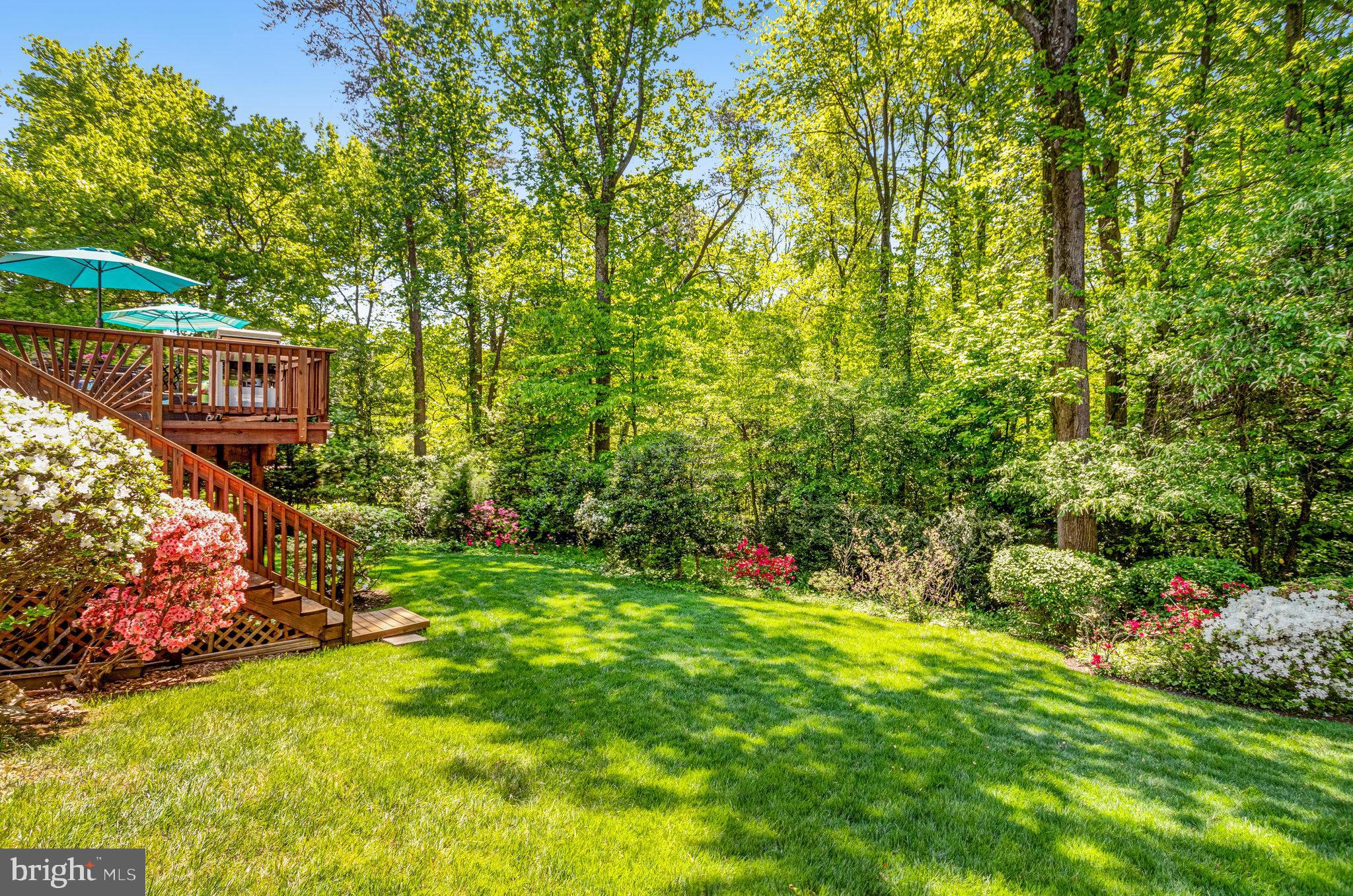 CHAPELWOOD - Residential