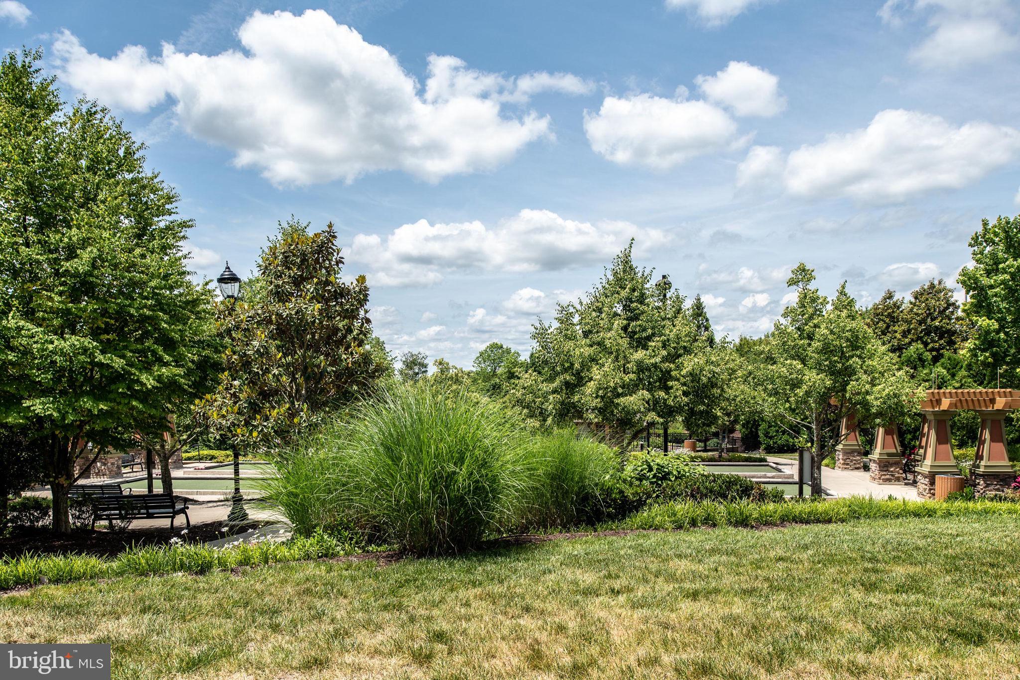 CELEBRATE - Residential