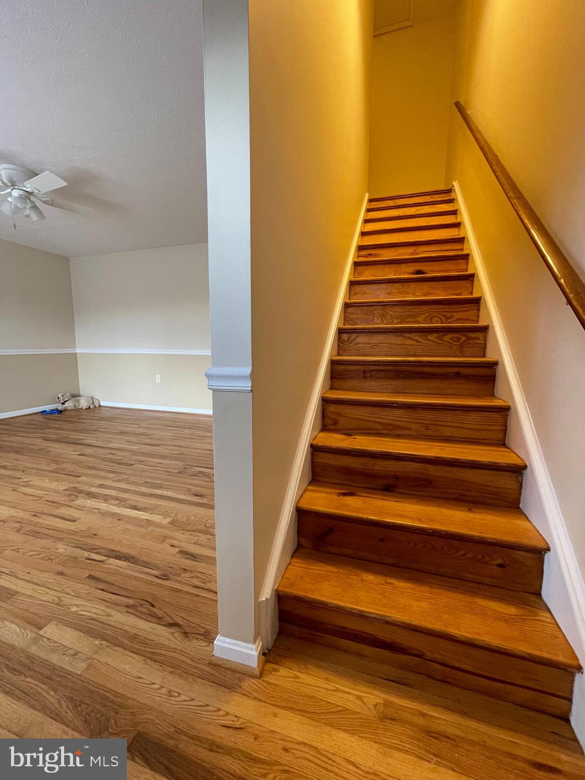 FREDERICKTOWNE TOWNHOUSE - Residential Lease