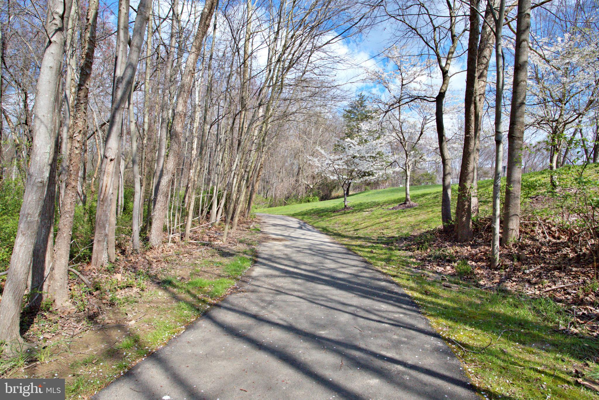 ARMISTEAD PARK - Residential