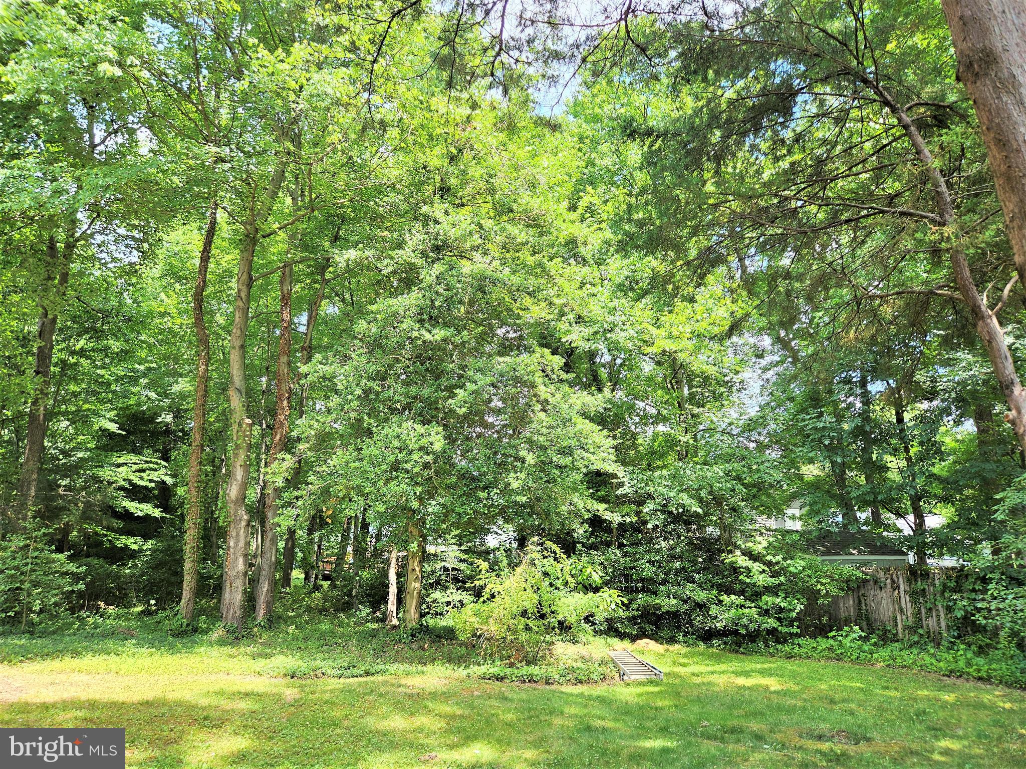 WILLOW WOODS - Residential