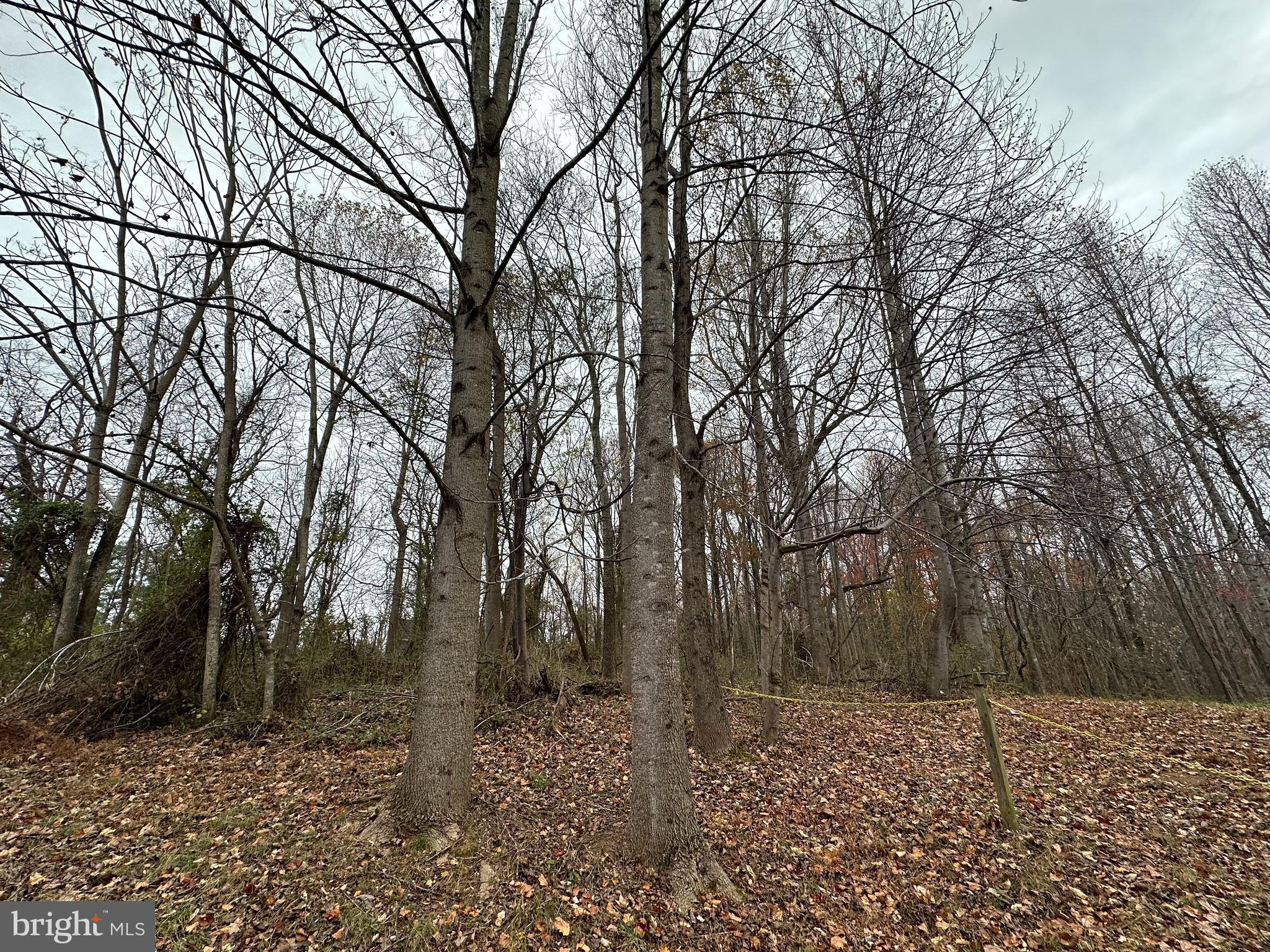 NONE AVAILABLE - Land