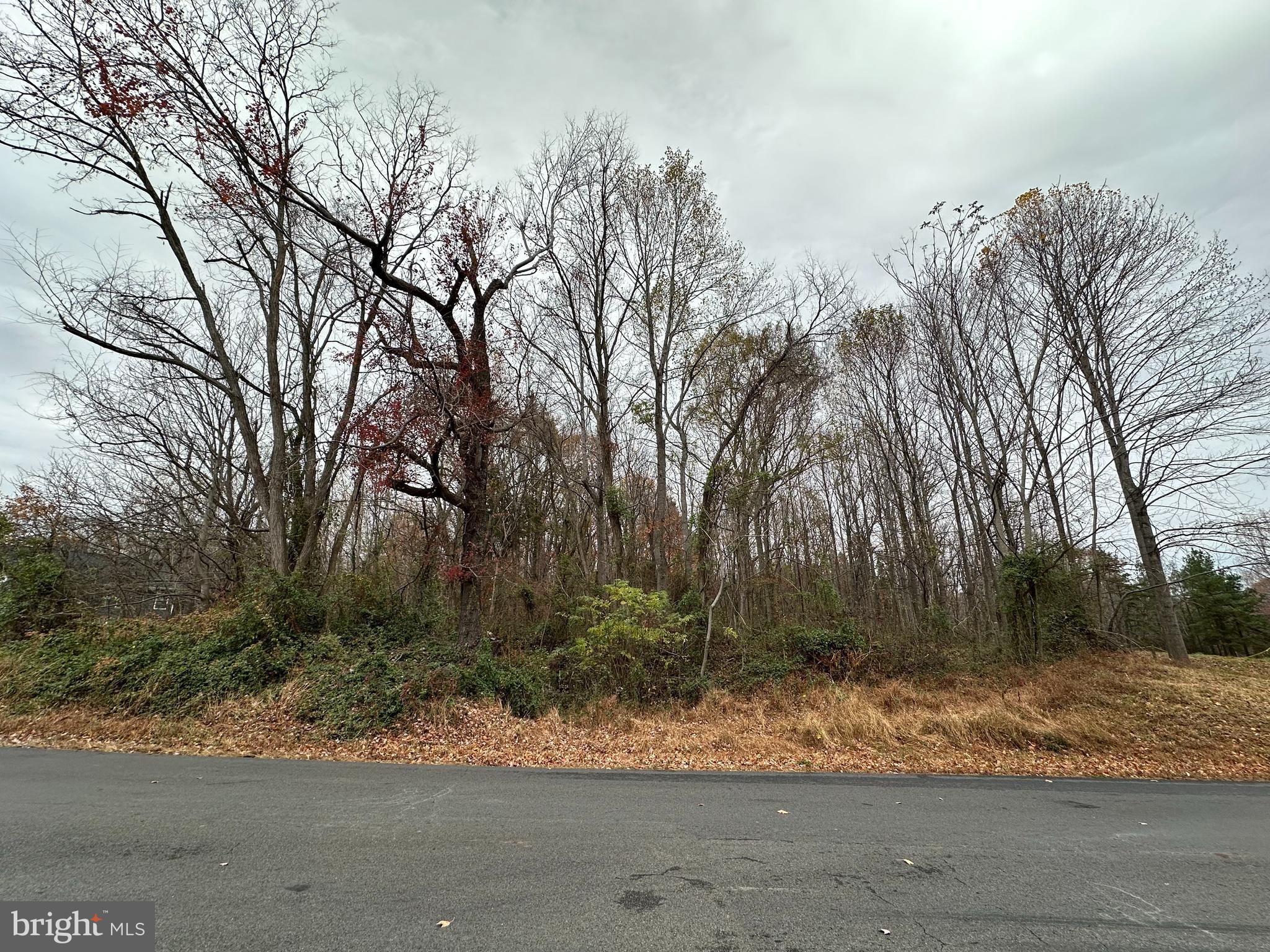 NONE AVAILABLE - Land