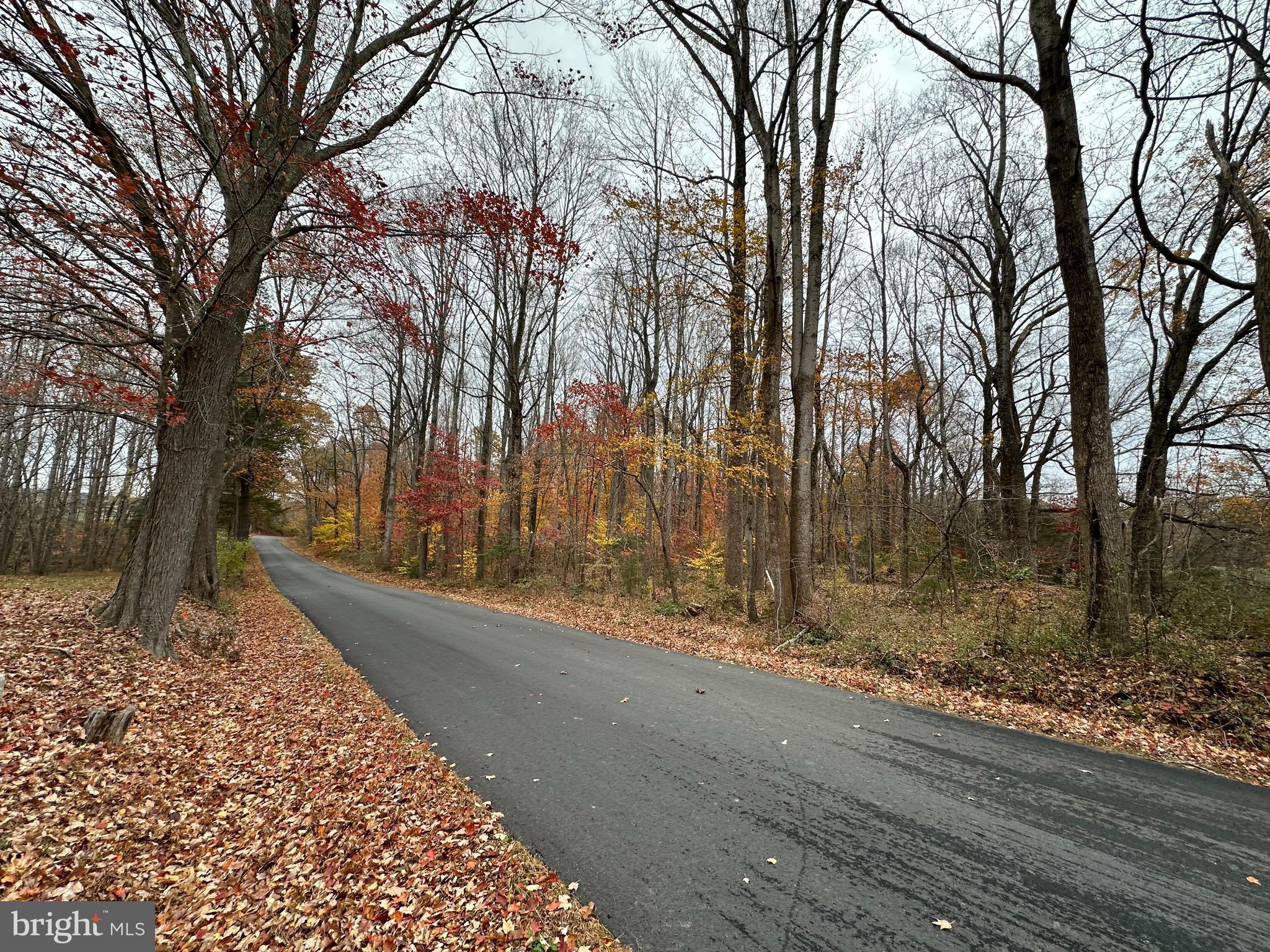 NONE AVAILABLE - Land