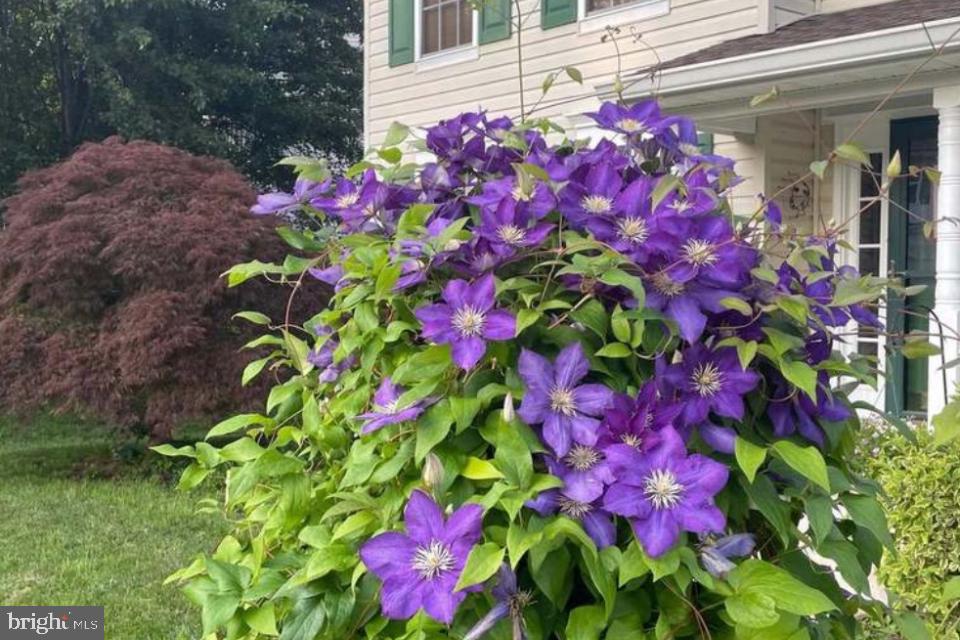 RICHFIELD STATION VILLAGE - Residential