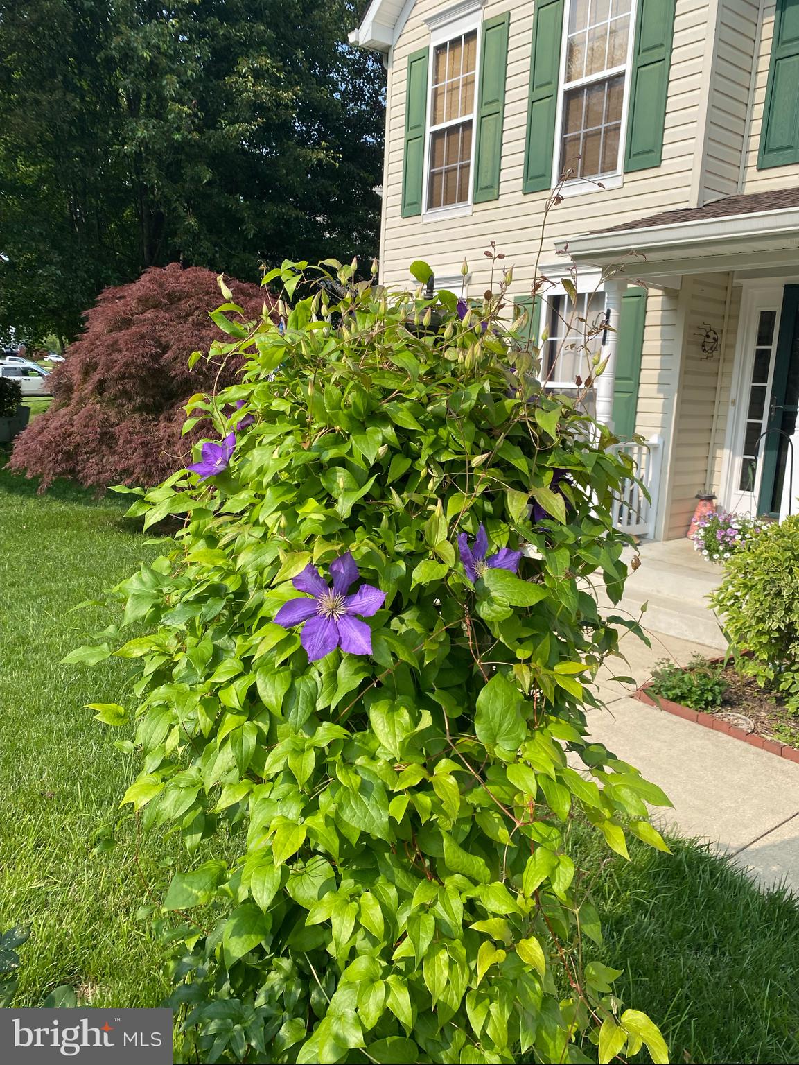 RICHFIELD STATION VILLAGE - Residential