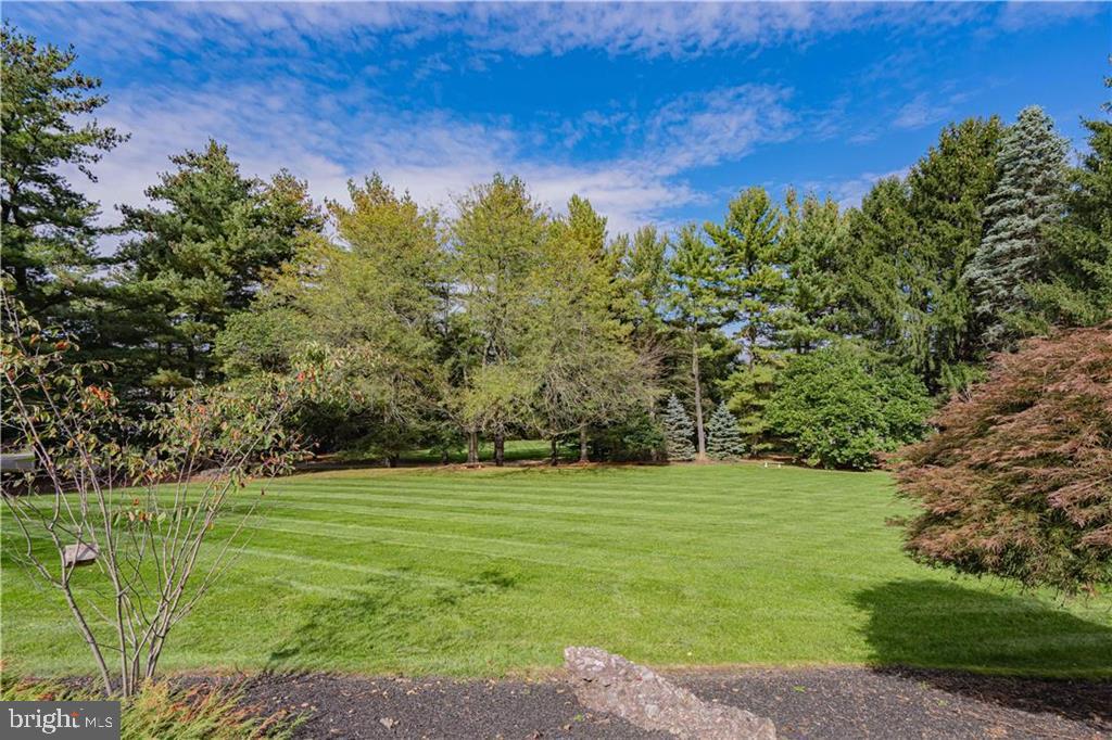 ROBIN HOOD - Residential