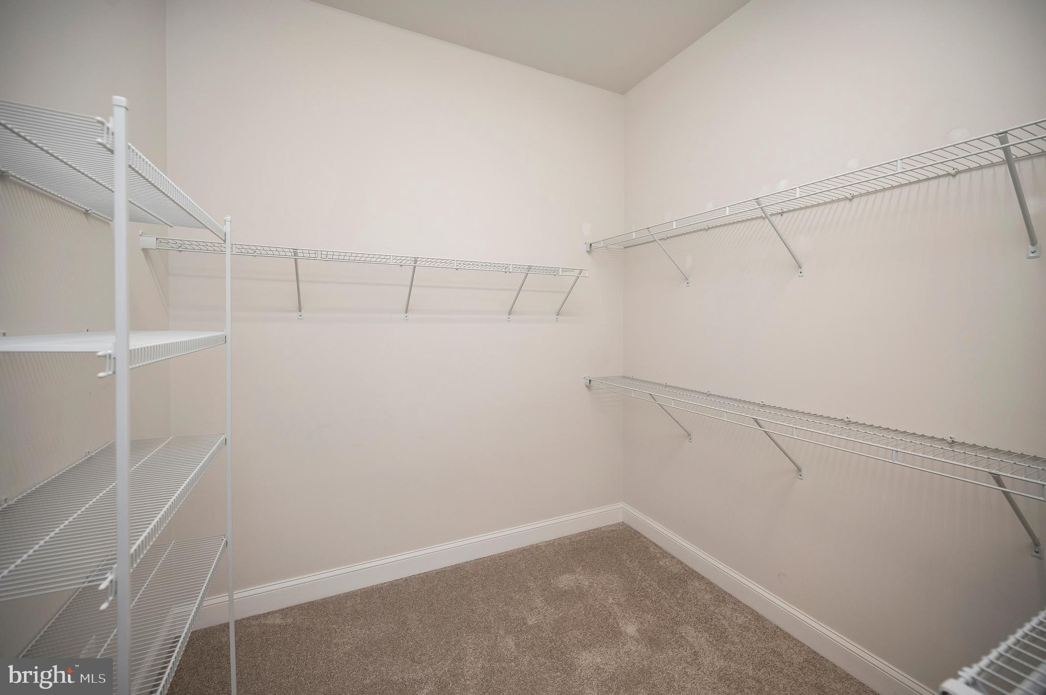 REGENCY AT CHANCELLORSVILLE - Residential