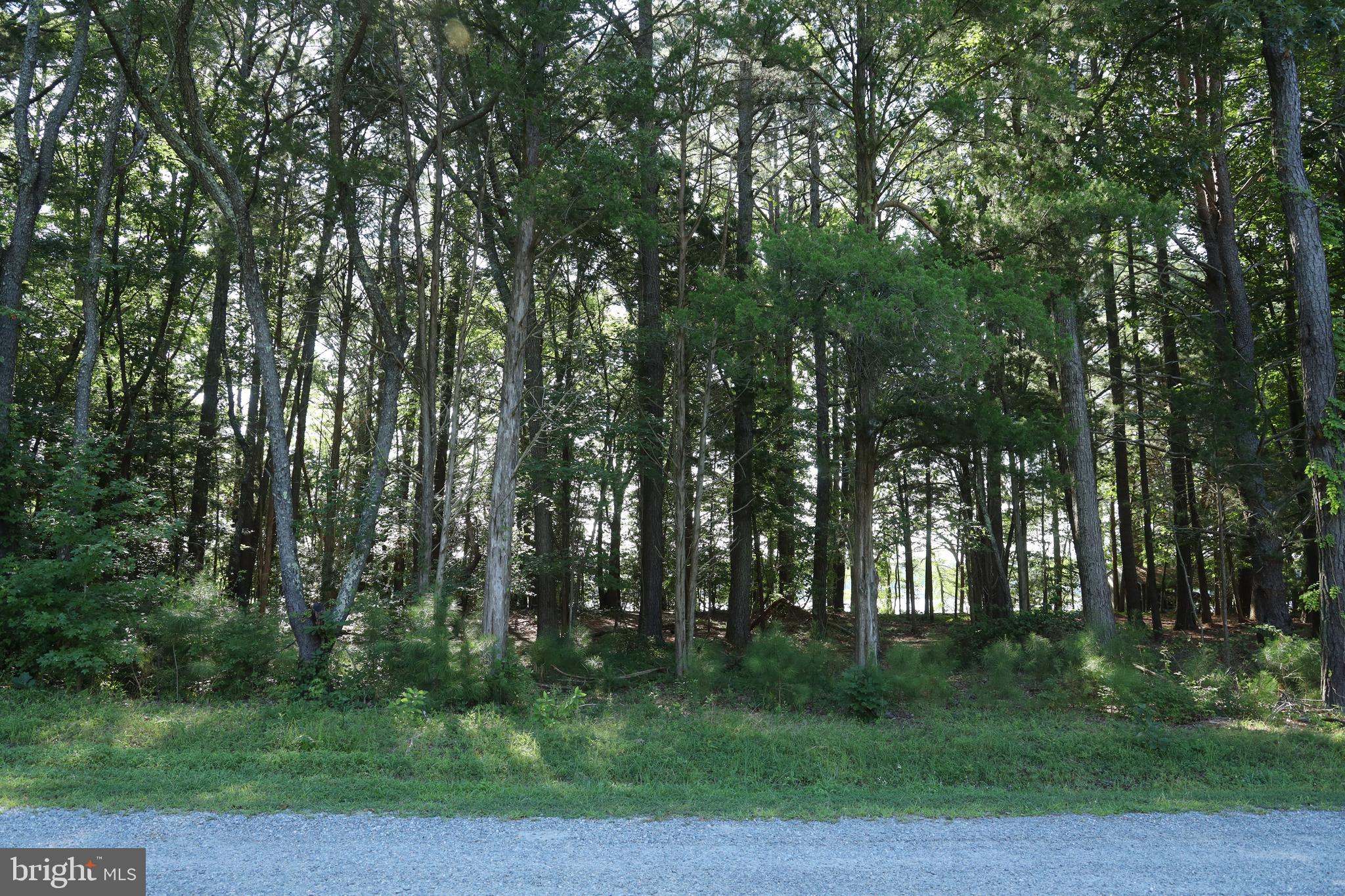 NONE AVAILABLE - Land