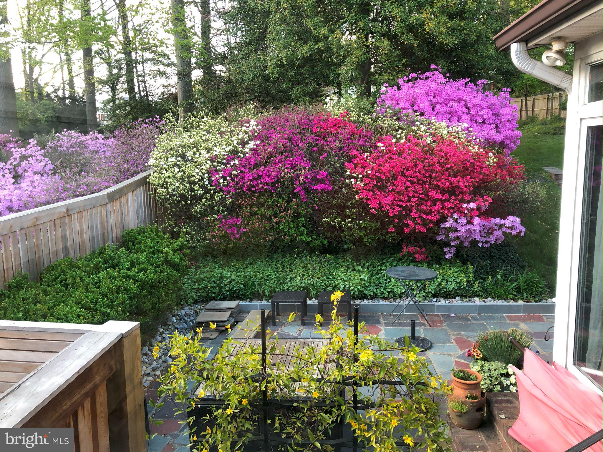 HOMEWOOD - Residential