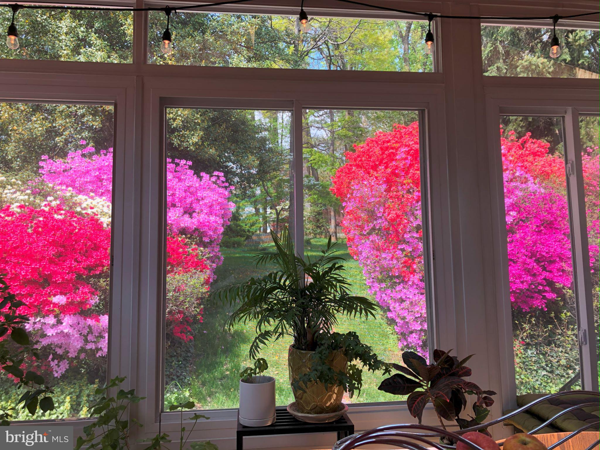 HOMEWOOD - Residential