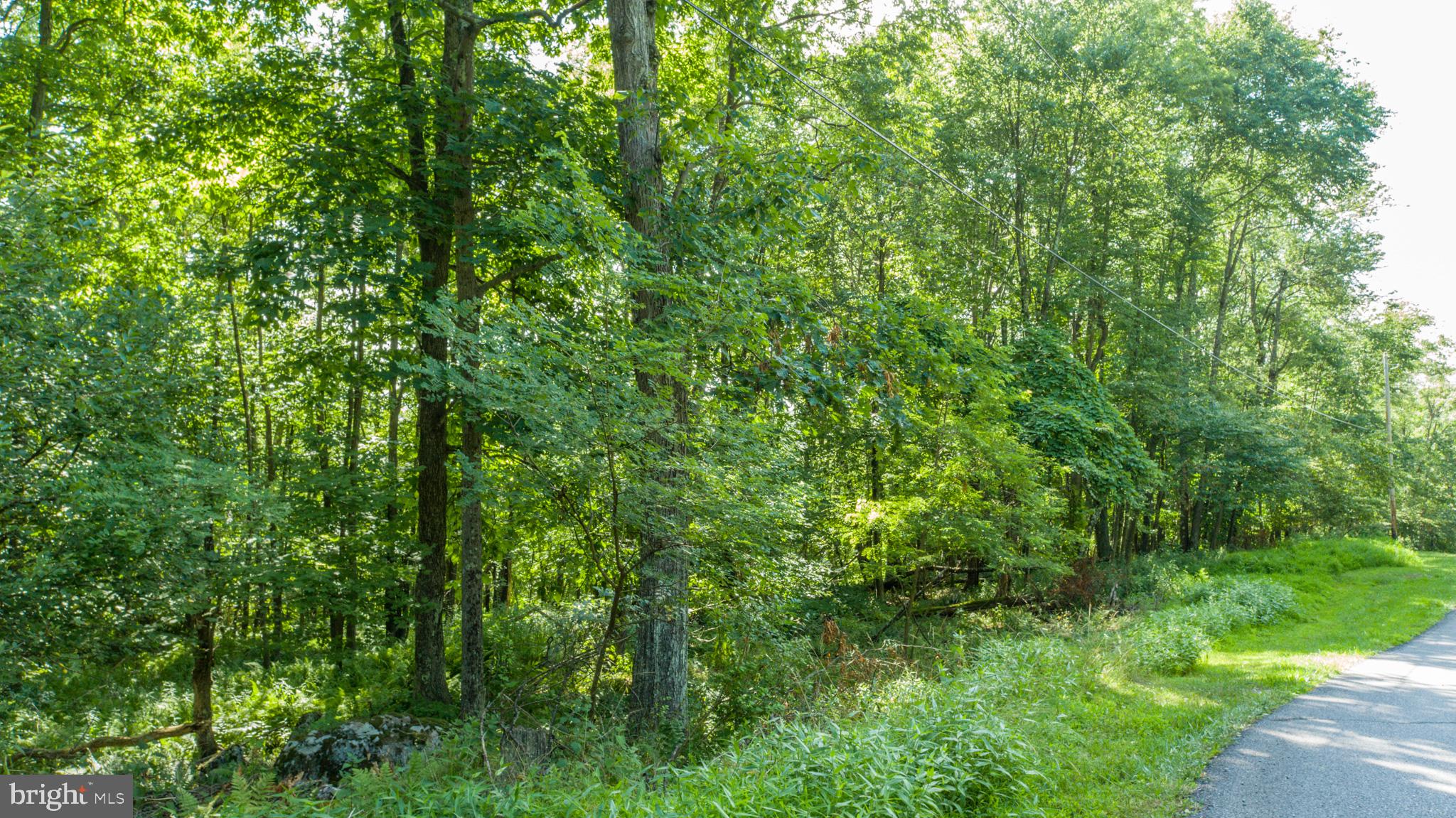 Lot 1 BETTS LANE