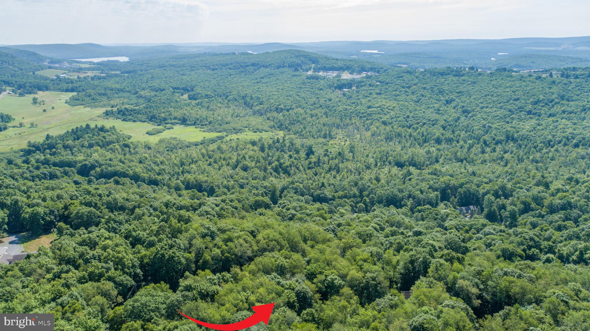 Lot 1 BETTS LANE