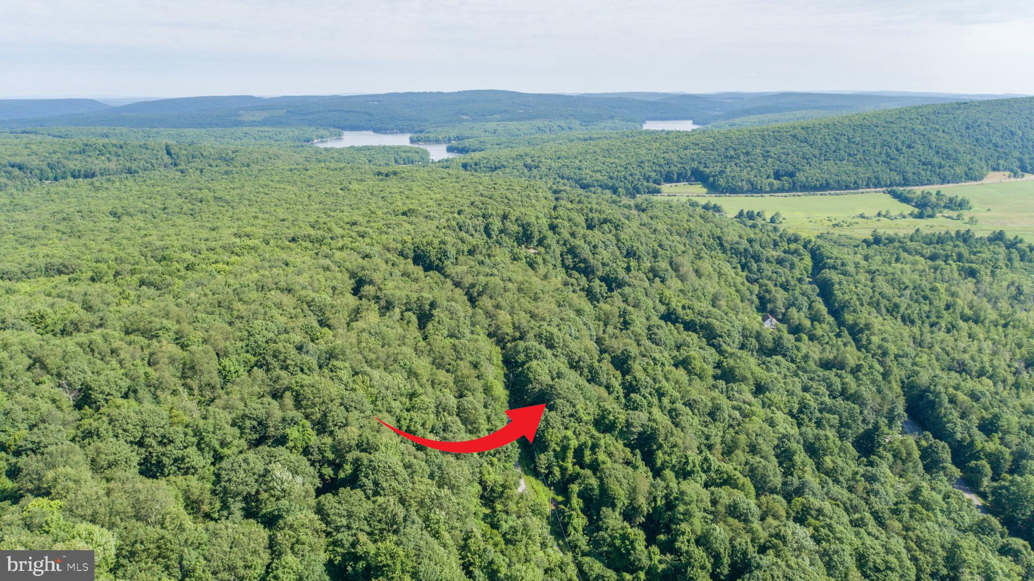 Lot 1 BETTS LANE