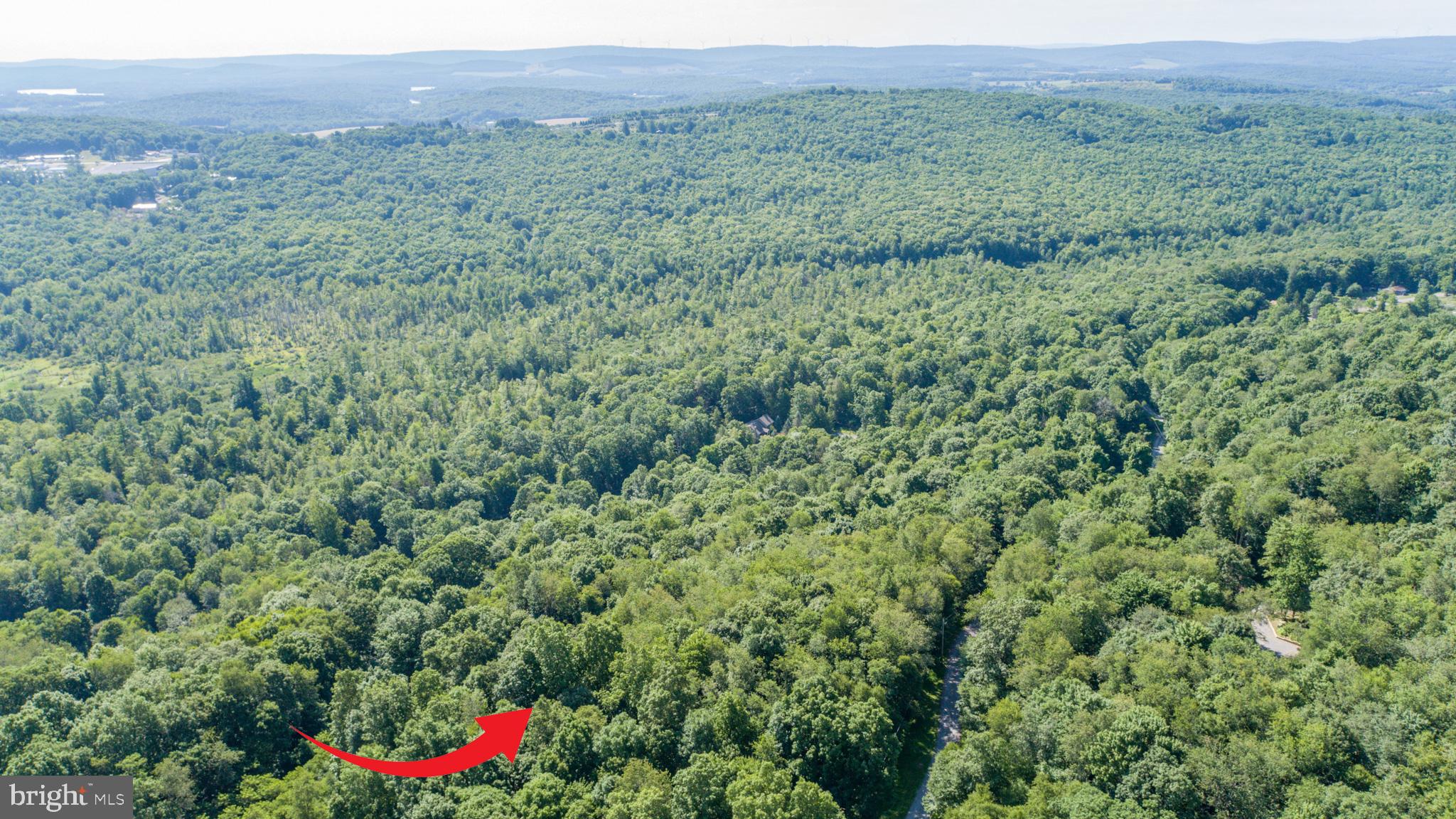 Lot 1 BETTS LANE