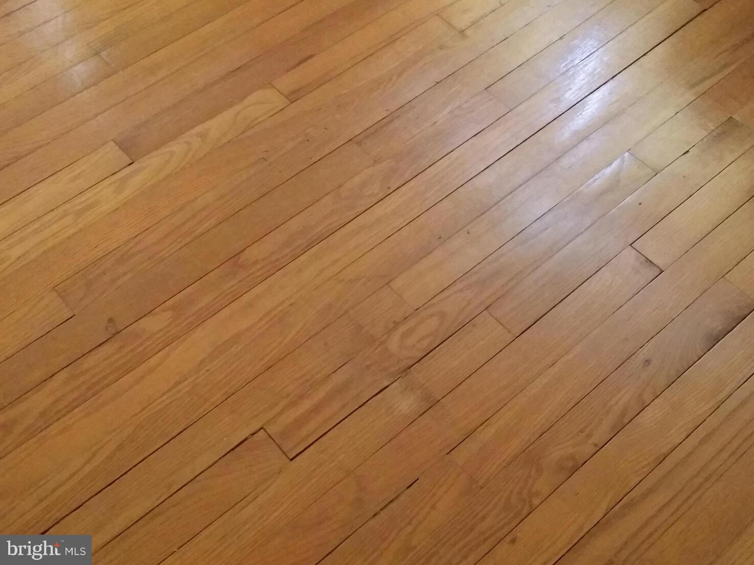 HAMMONDS FERRY - Residential