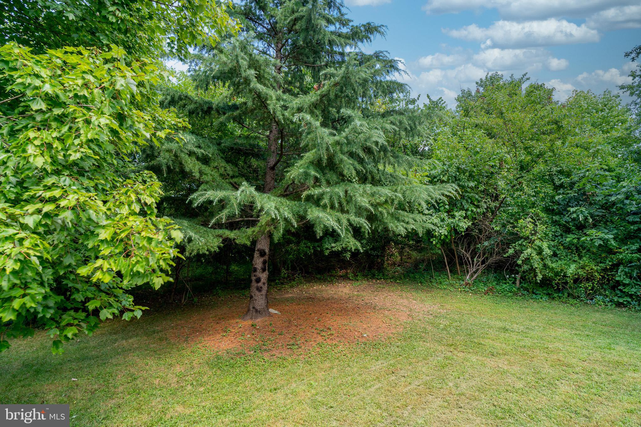 WAVERLY WOODS - Residential