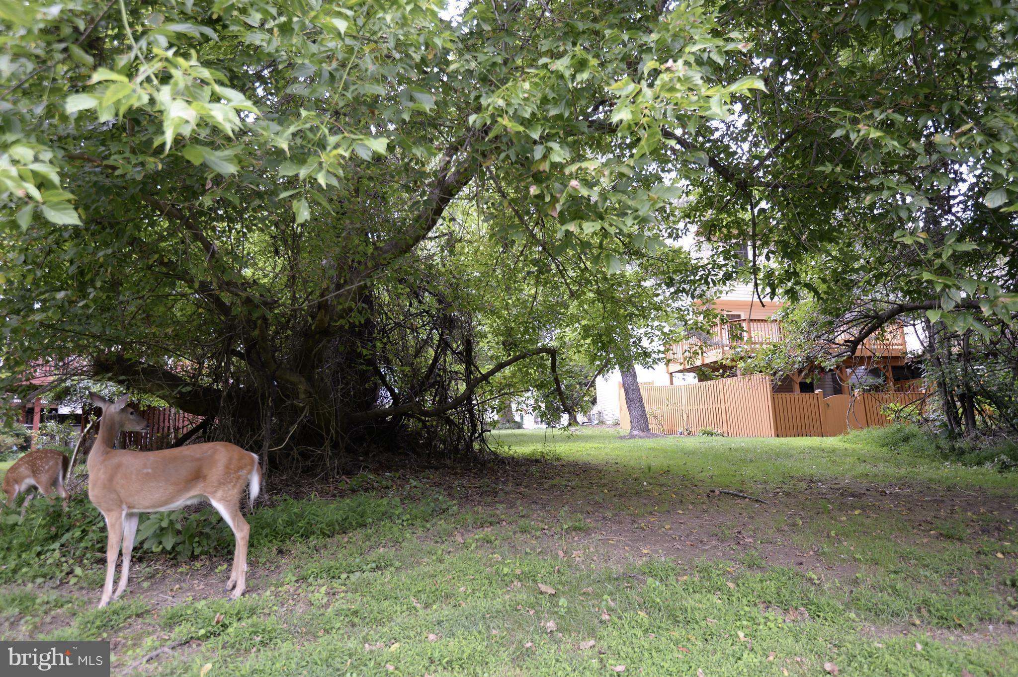 GUNNERS LAKE VILLAGE - Residential Lease