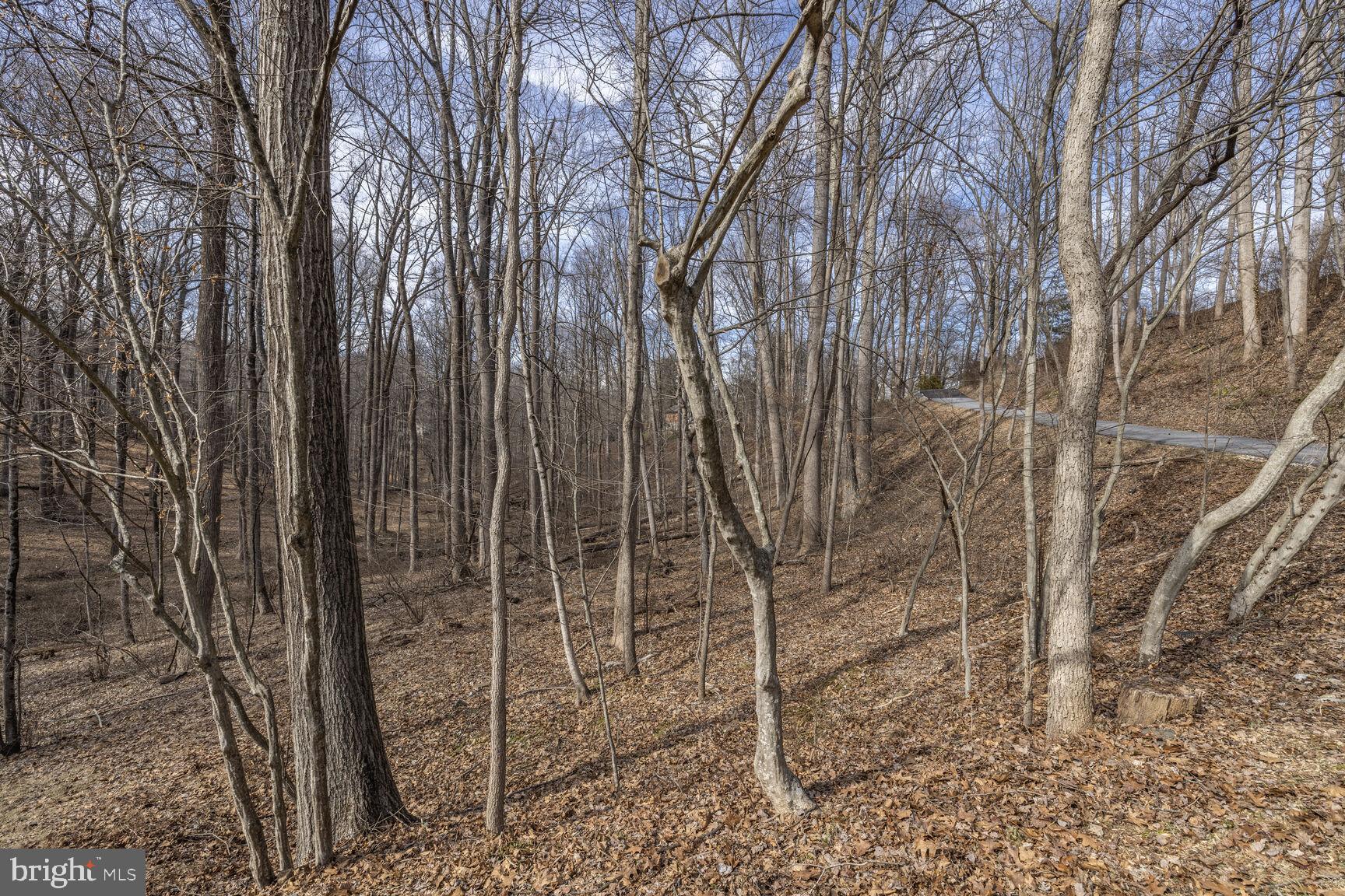 STRAWBRIDGE ESTATES - Residential