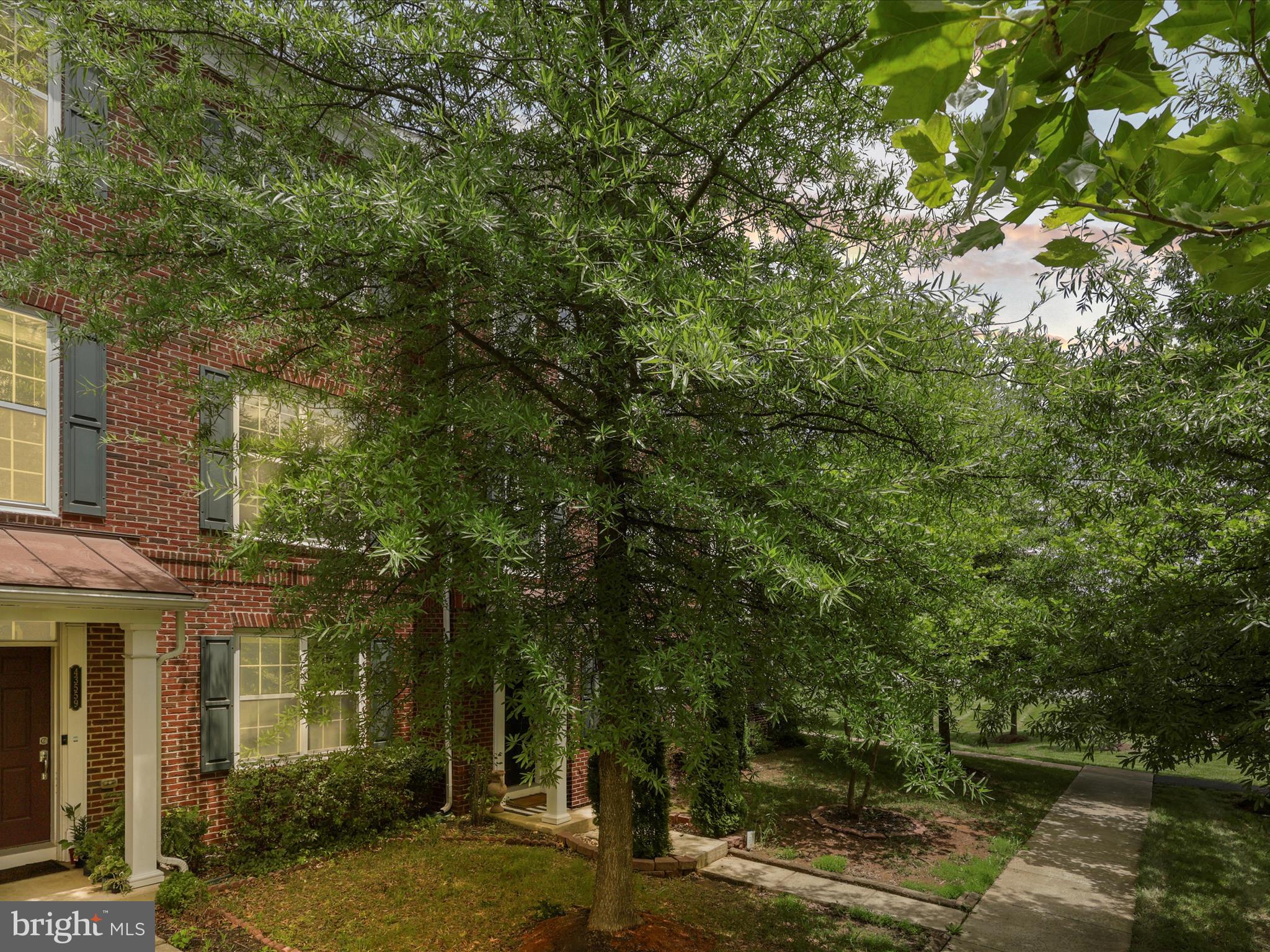 43559 WHEADON TERRACE