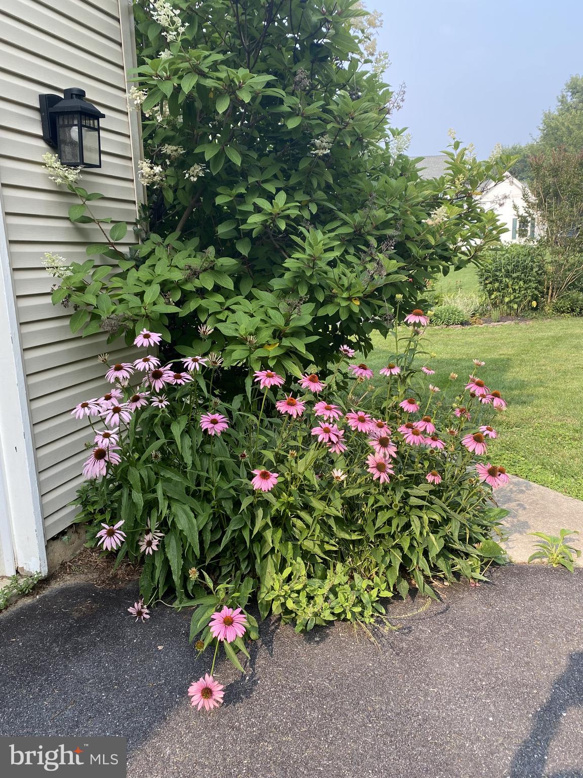 SULLIVAN STATION - Residential