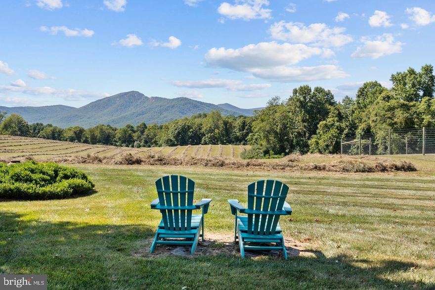 Spectacular 106 acre lot in conservation easement. Road frontage on Francis Thornton (F.T.)Valley Road. Specimen trees and gardens; elegant barn with solar array. Access to shared 20 acre lake . Epic views of Old Rag and surrounding  mountains.