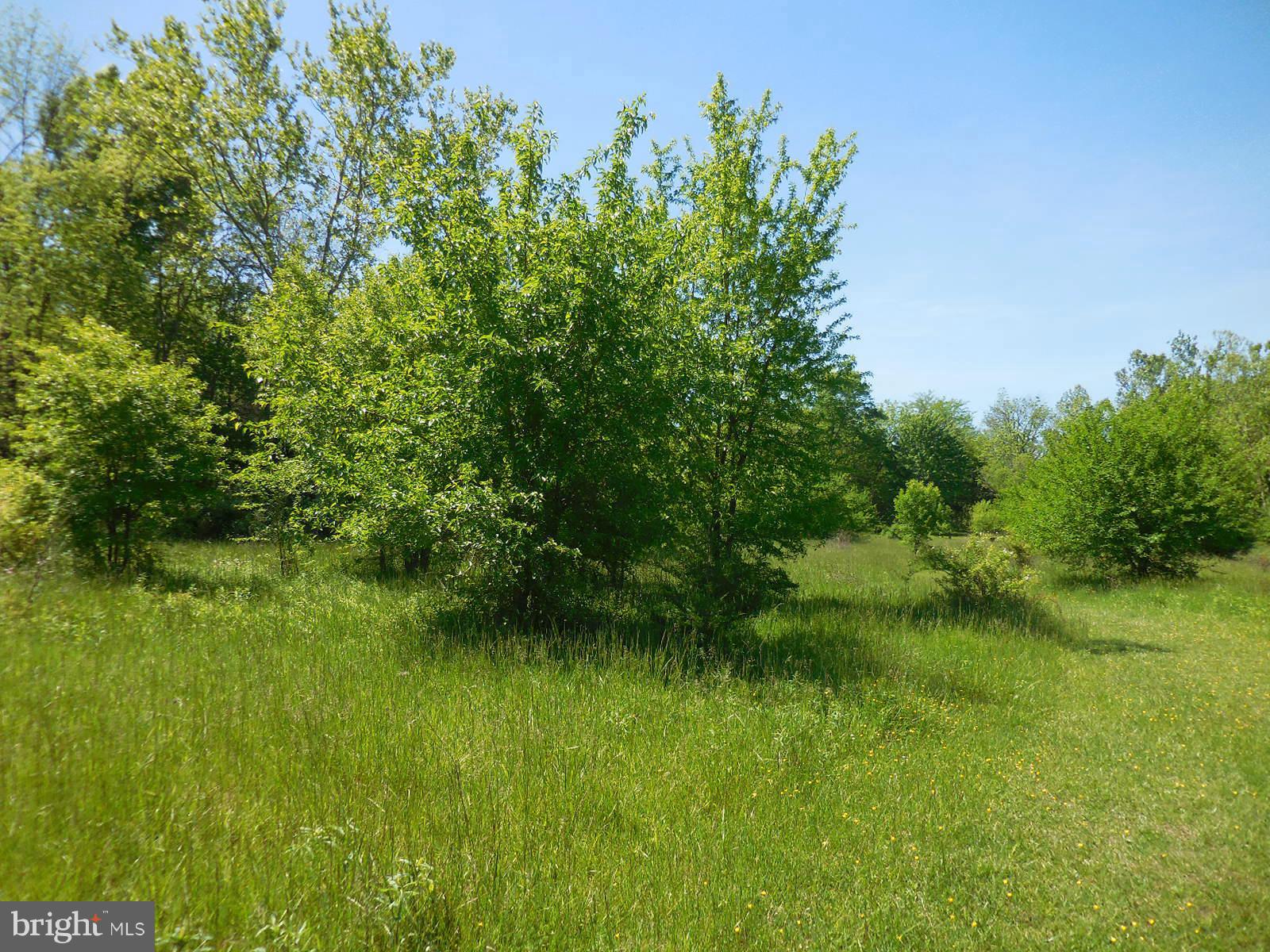 NONE AVAILABLE - Land