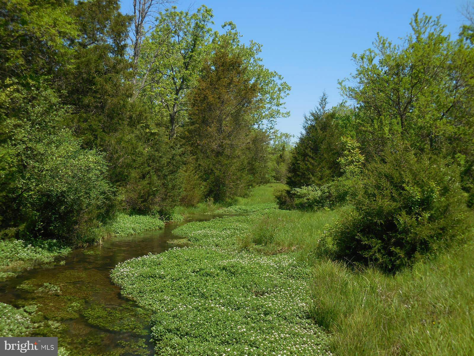 NONE AVAILABLE - Land