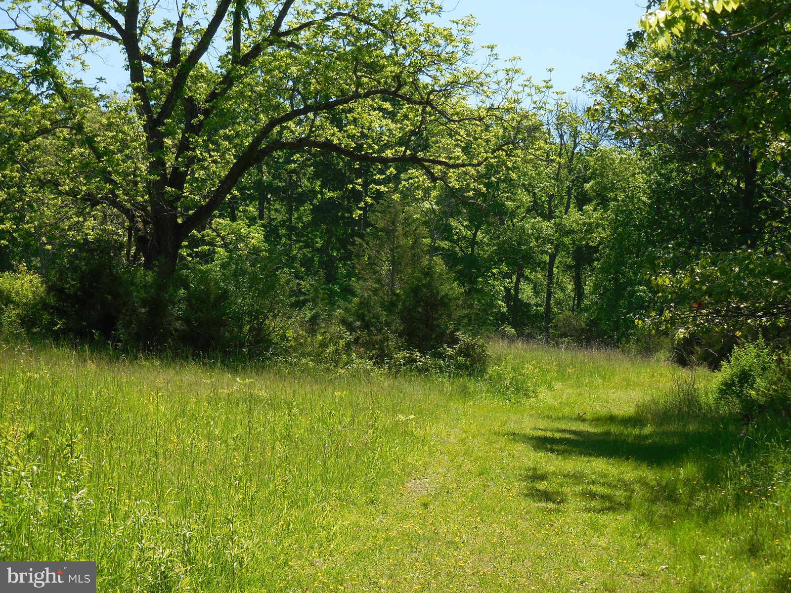 NONE AVAILABLE - Land