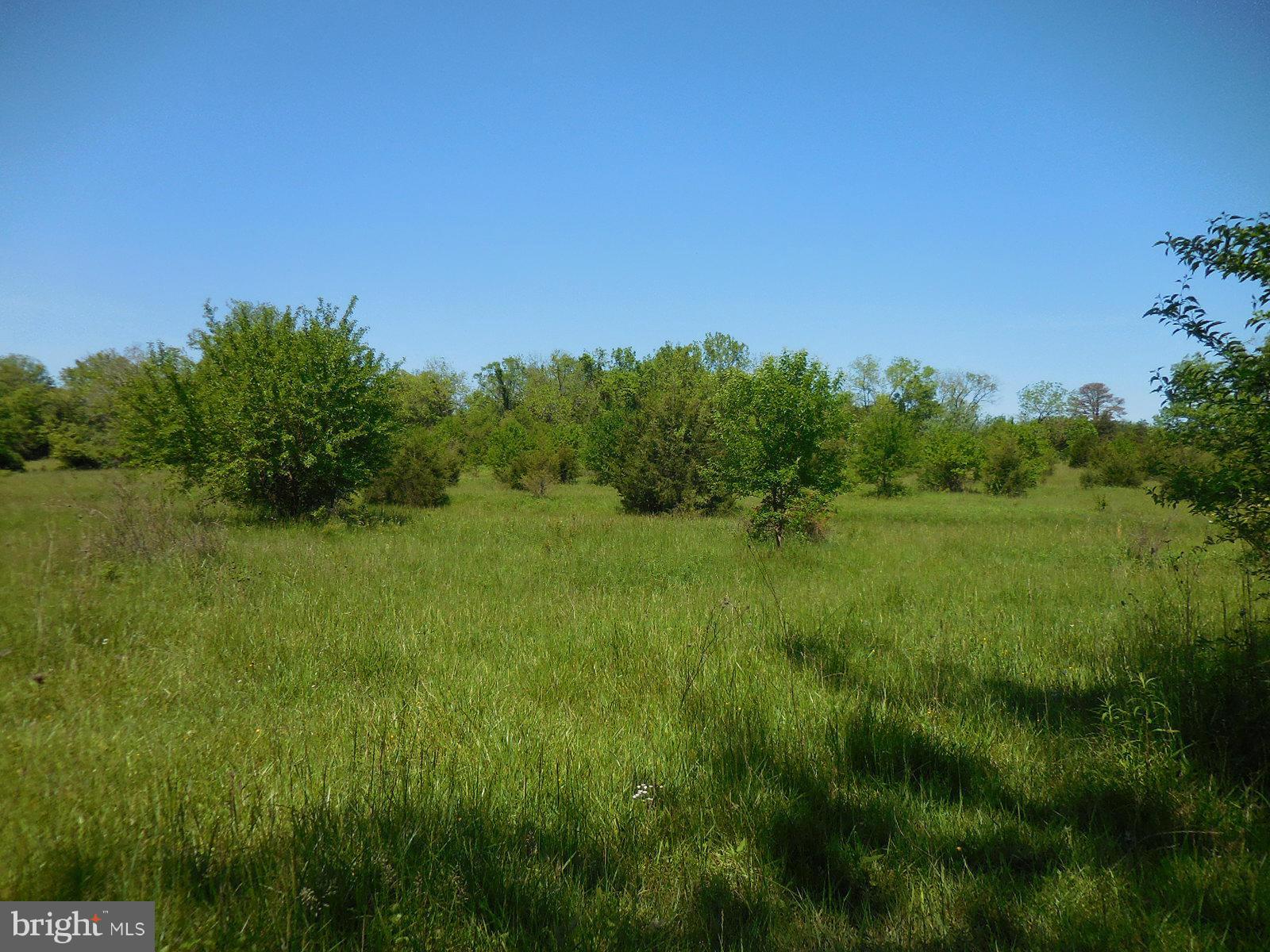 NONE AVAILABLE - Land