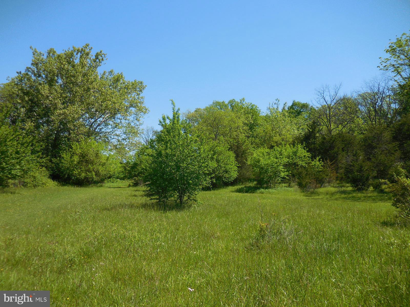 NONE AVAILABLE - Land