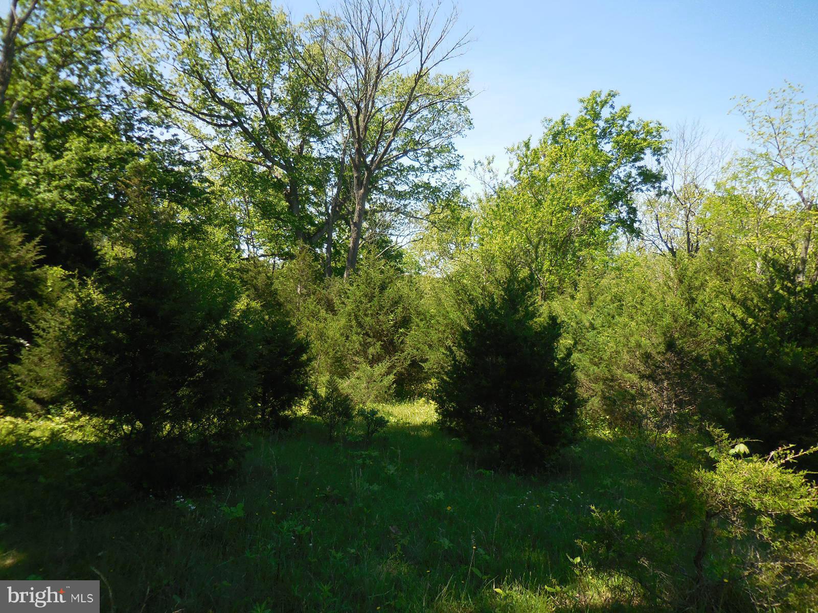 NONE AVAILABLE - Land