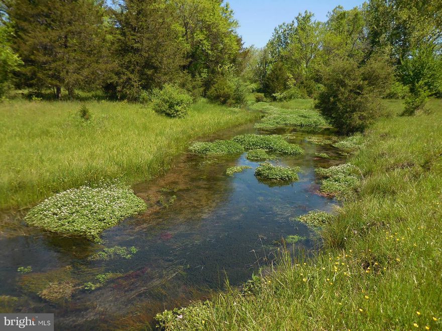 26+ acres with Marsh Brook flowing through a portion of the property.  Pastoral views.   Property will be accessed by a 50' ROW from Vaucluse Road.   Zoned agricultural and currently in land use.  Seller will not pay roll back taxes.   Partly wooded.  Nice knoll to build your home on.  Perked for a 4BR house.  Additional 32+ acres also available.   Adjacent to The Inn at Vaucluse Spring.