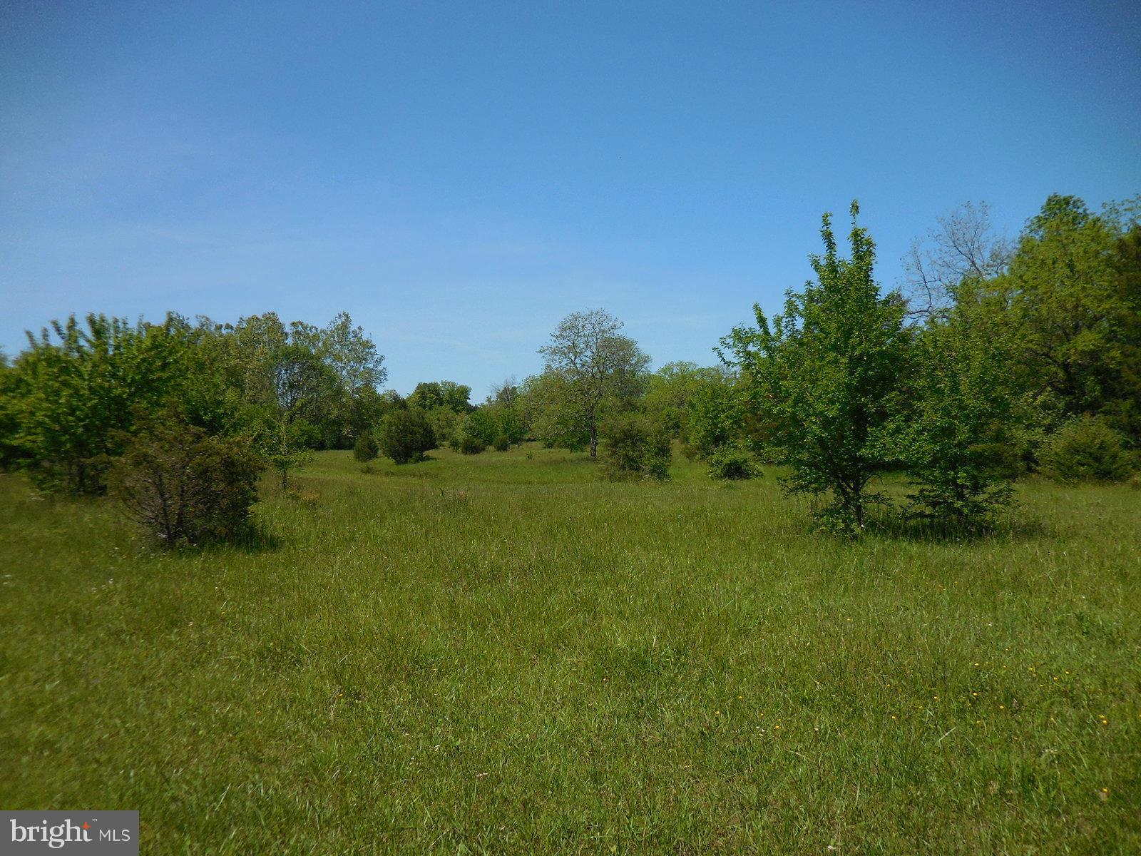 NONE AVAILABLE - Land