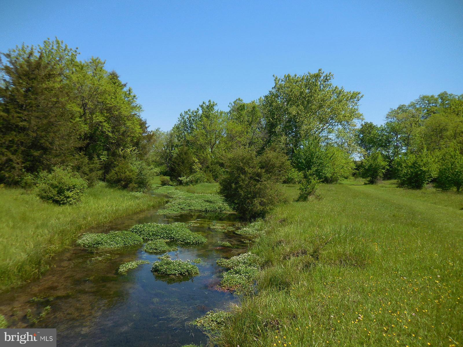 NONE AVAILABLE - Land